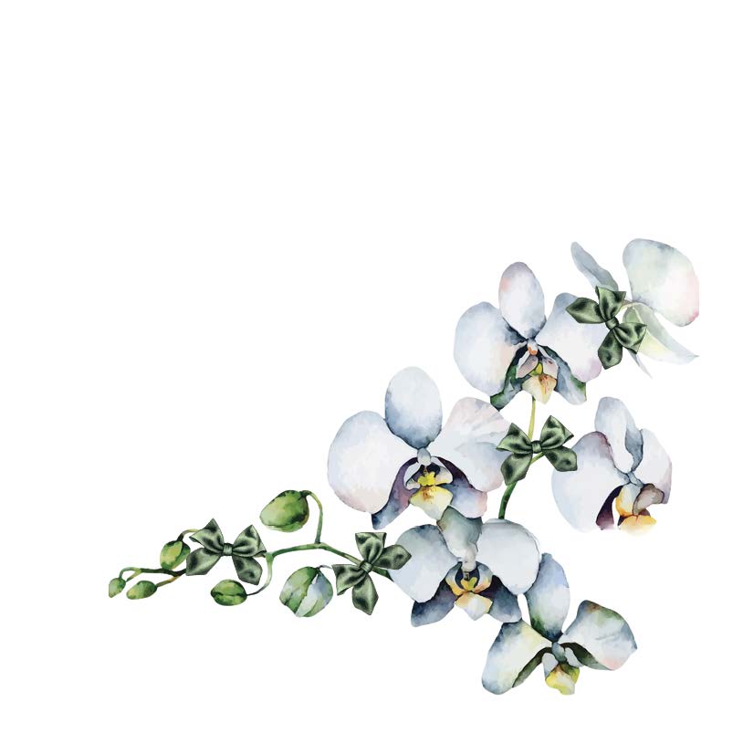 Orchid Bow Wreath Cocktail Napkin