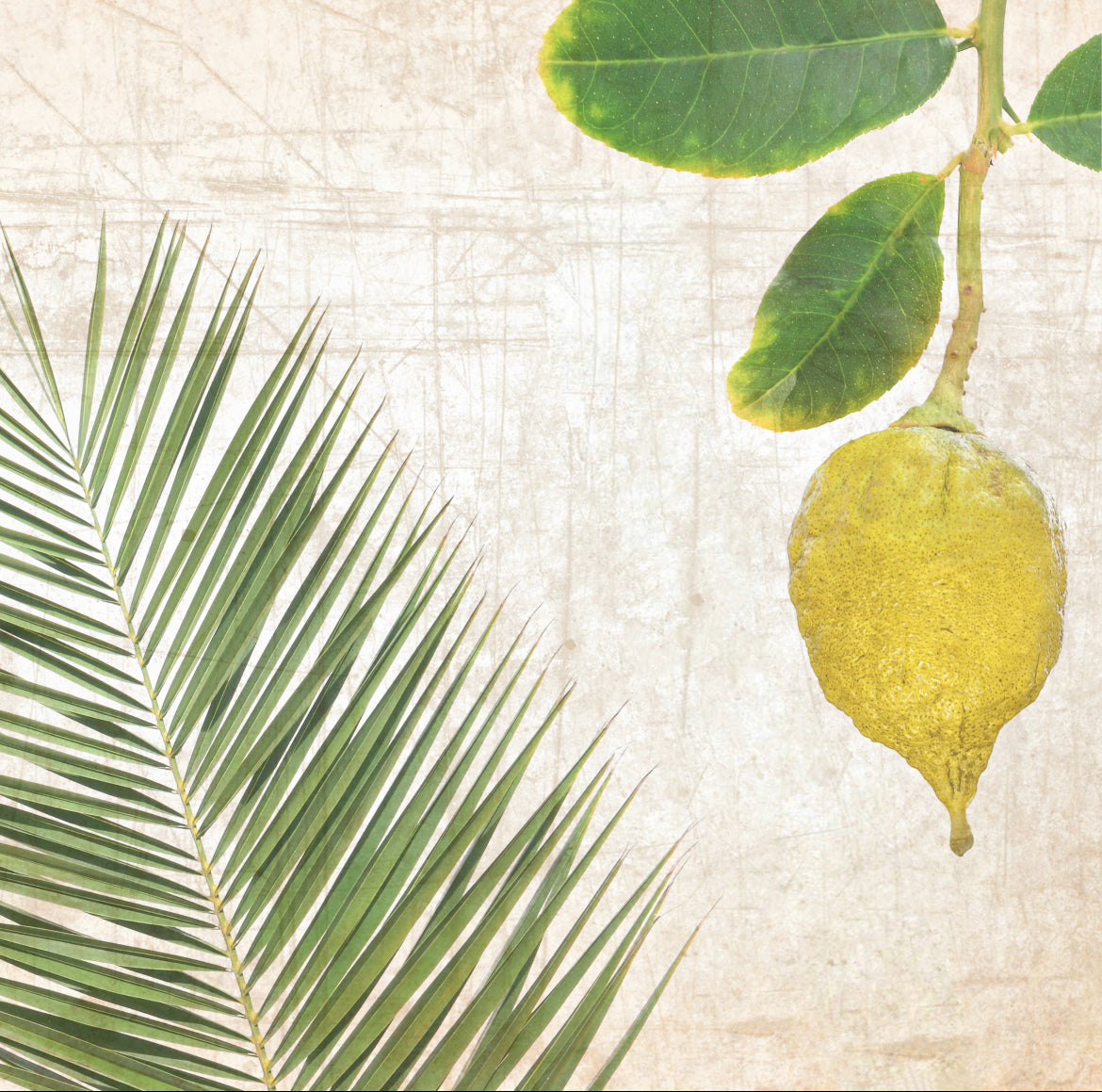 Citron Palm Charger - (SQUARE)