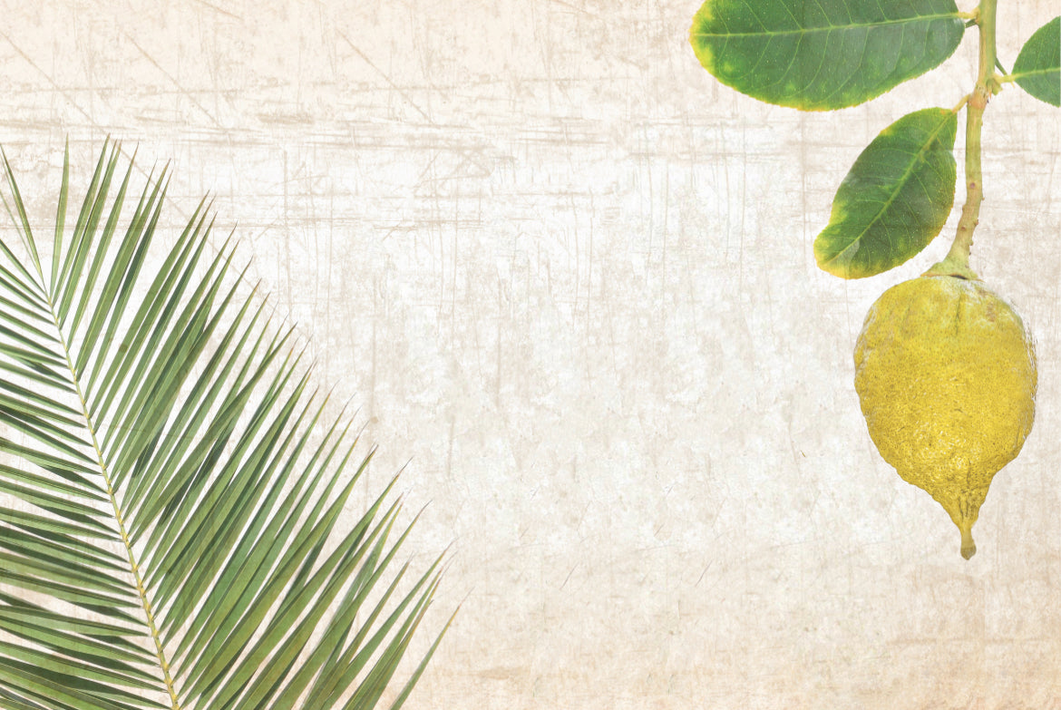 Citron Palm - Placemat