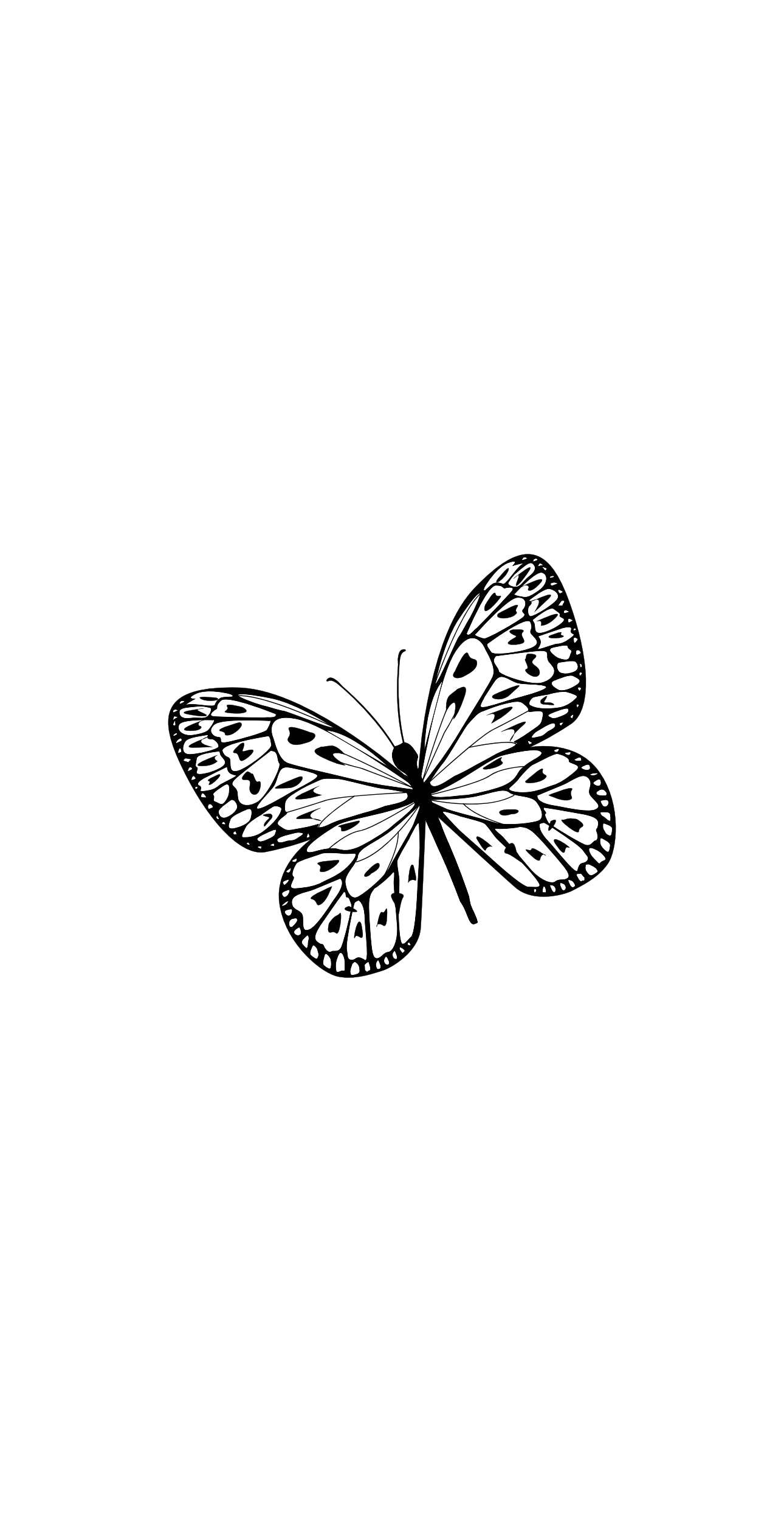 Black Butterfly - Printed Guest Towel