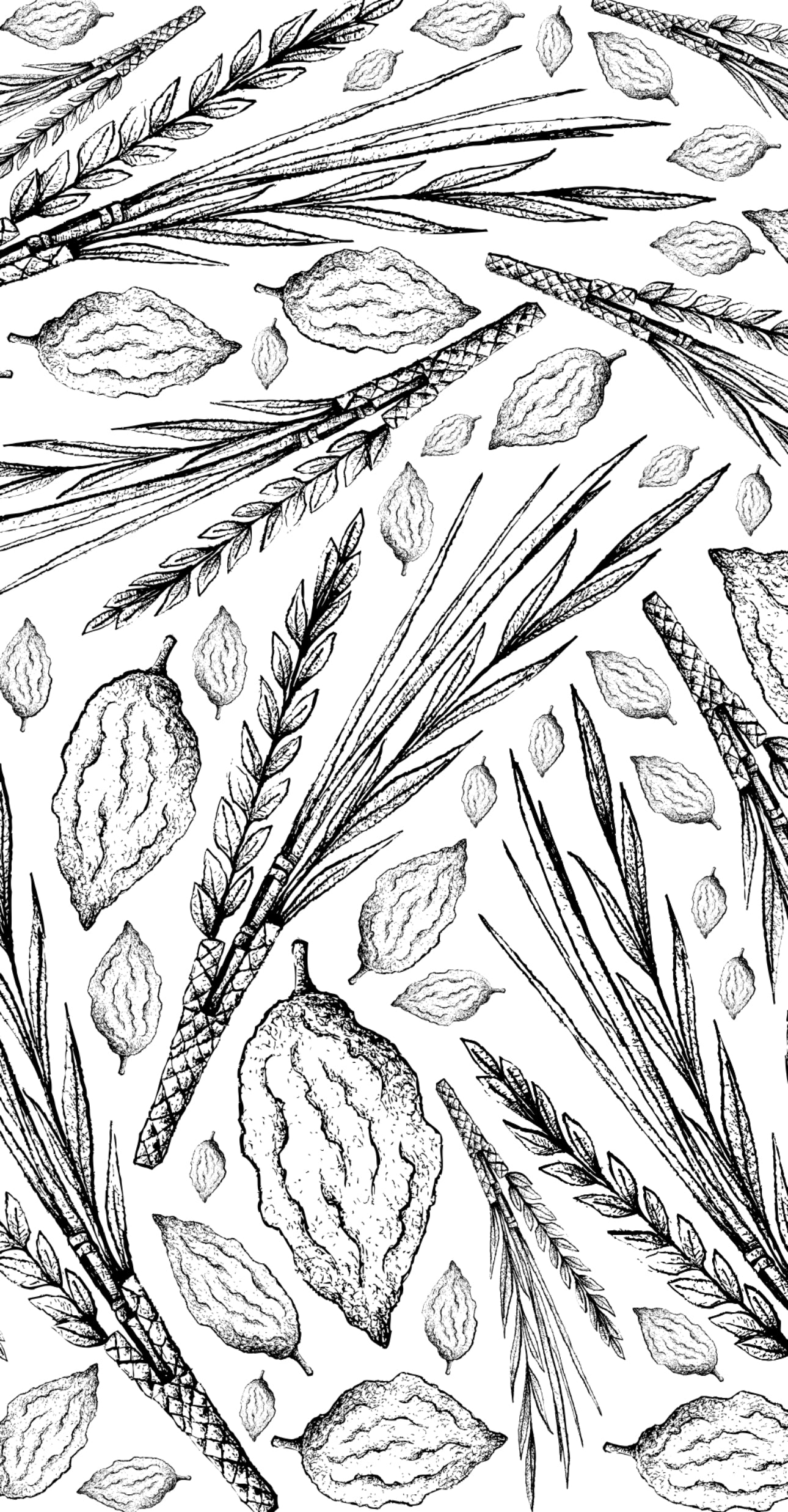 Hand Drawn Lulav & Esrog - Printed Guest Towel