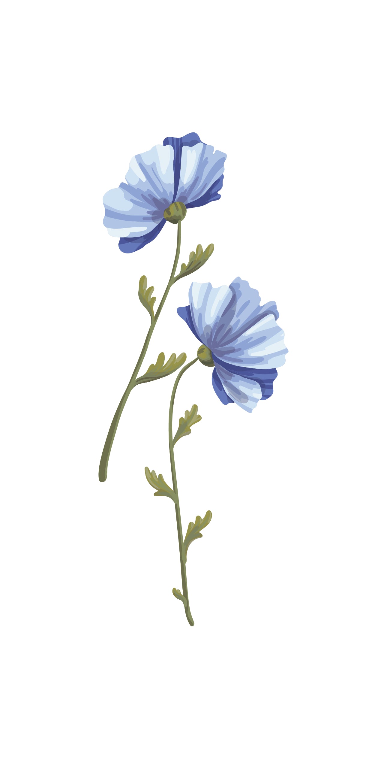 Blue Daffodil - Printed Guest Towel