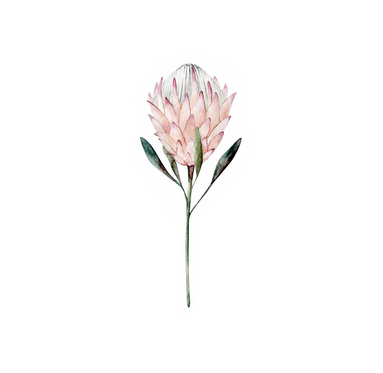 Pink Bloom Cocktail Napkin