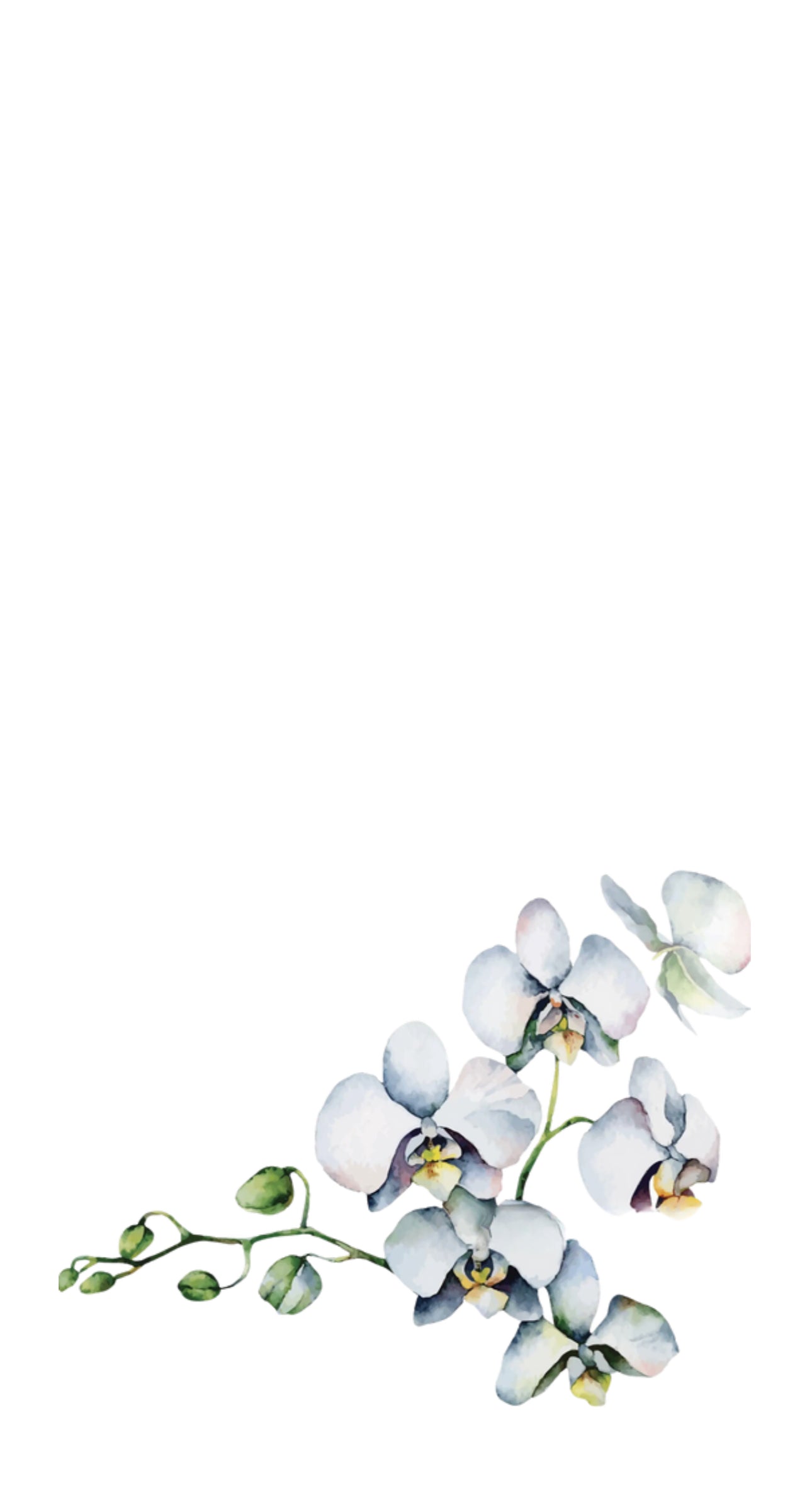 Floating Orchid - Printed Guest Towel