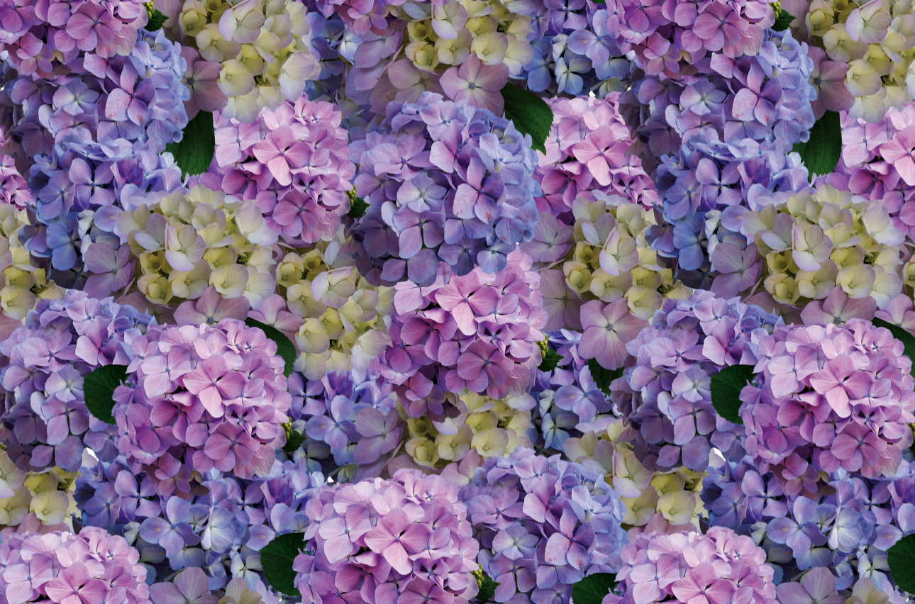 Nantucket - Placemat