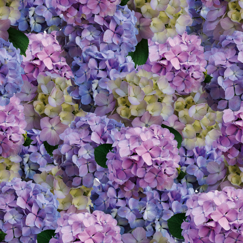 Nantucket  - Charger - (SQUARE)