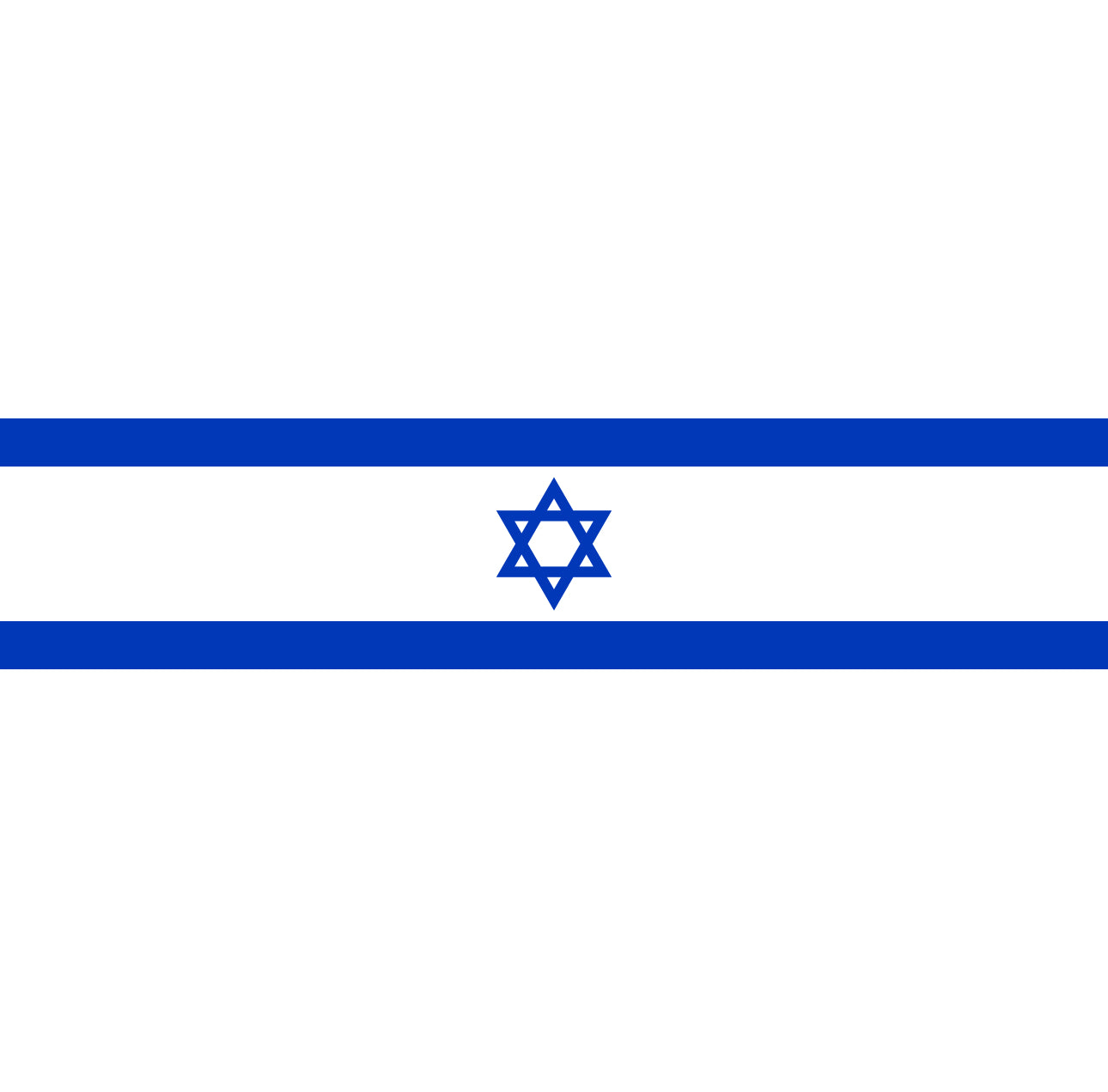 Israel Flag Cocktail Napkin