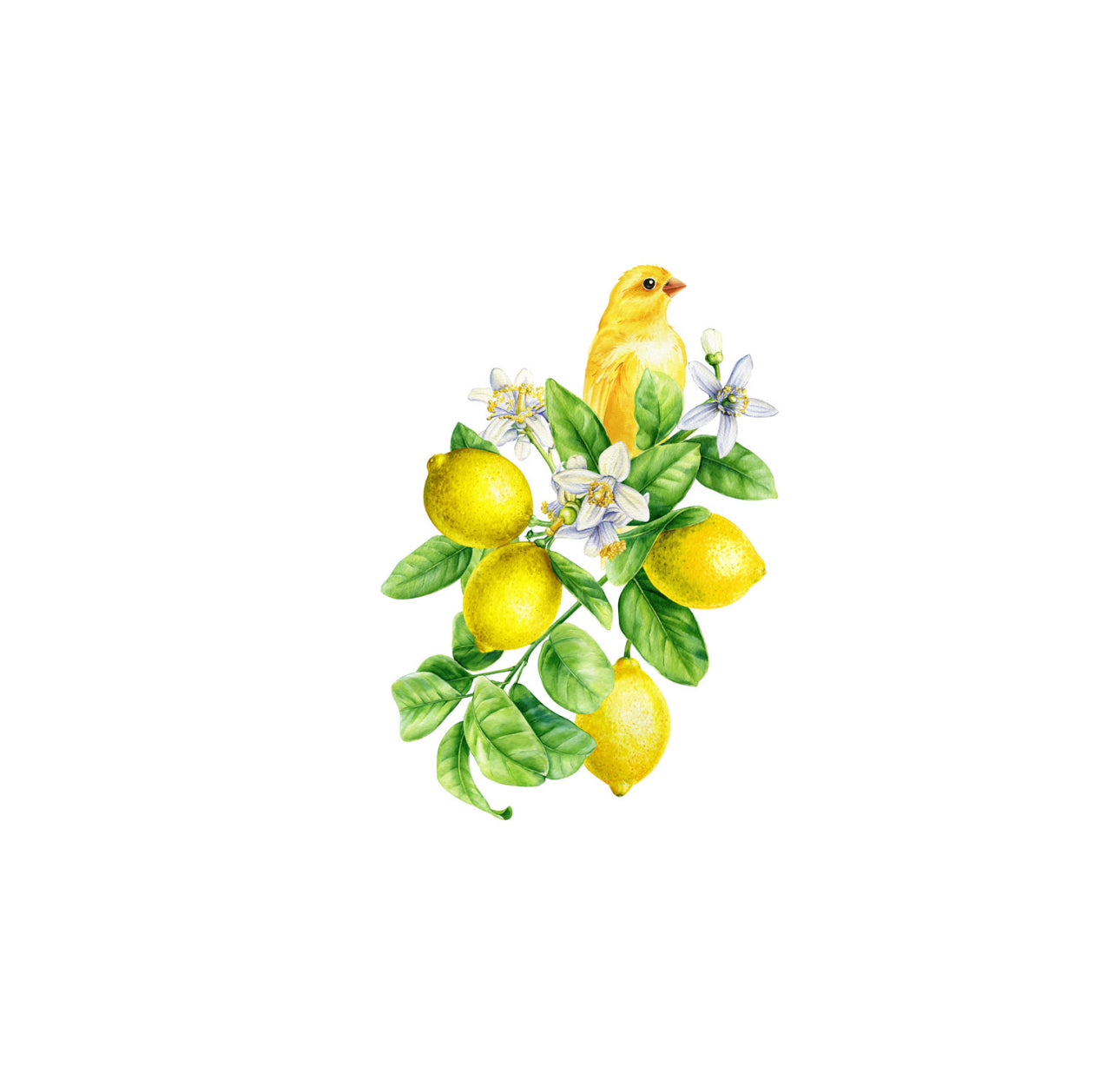 Lemon Bird Foliage Cocktail Napkin