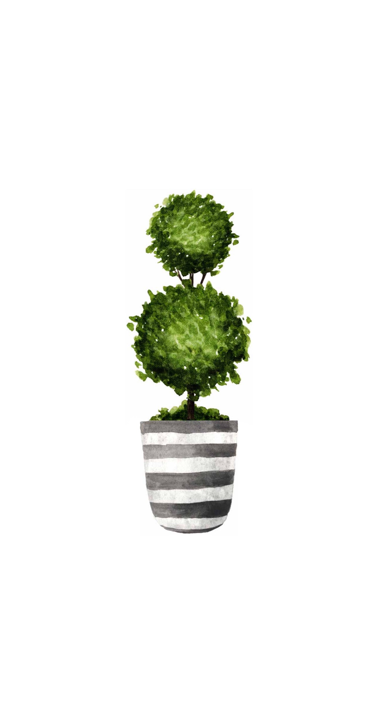 Topiary Design - Printed Guest Towel