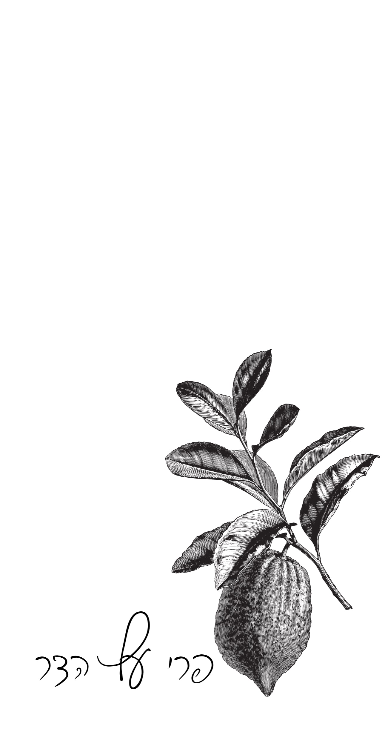Charcoal Esrog - Printed Guest Towel