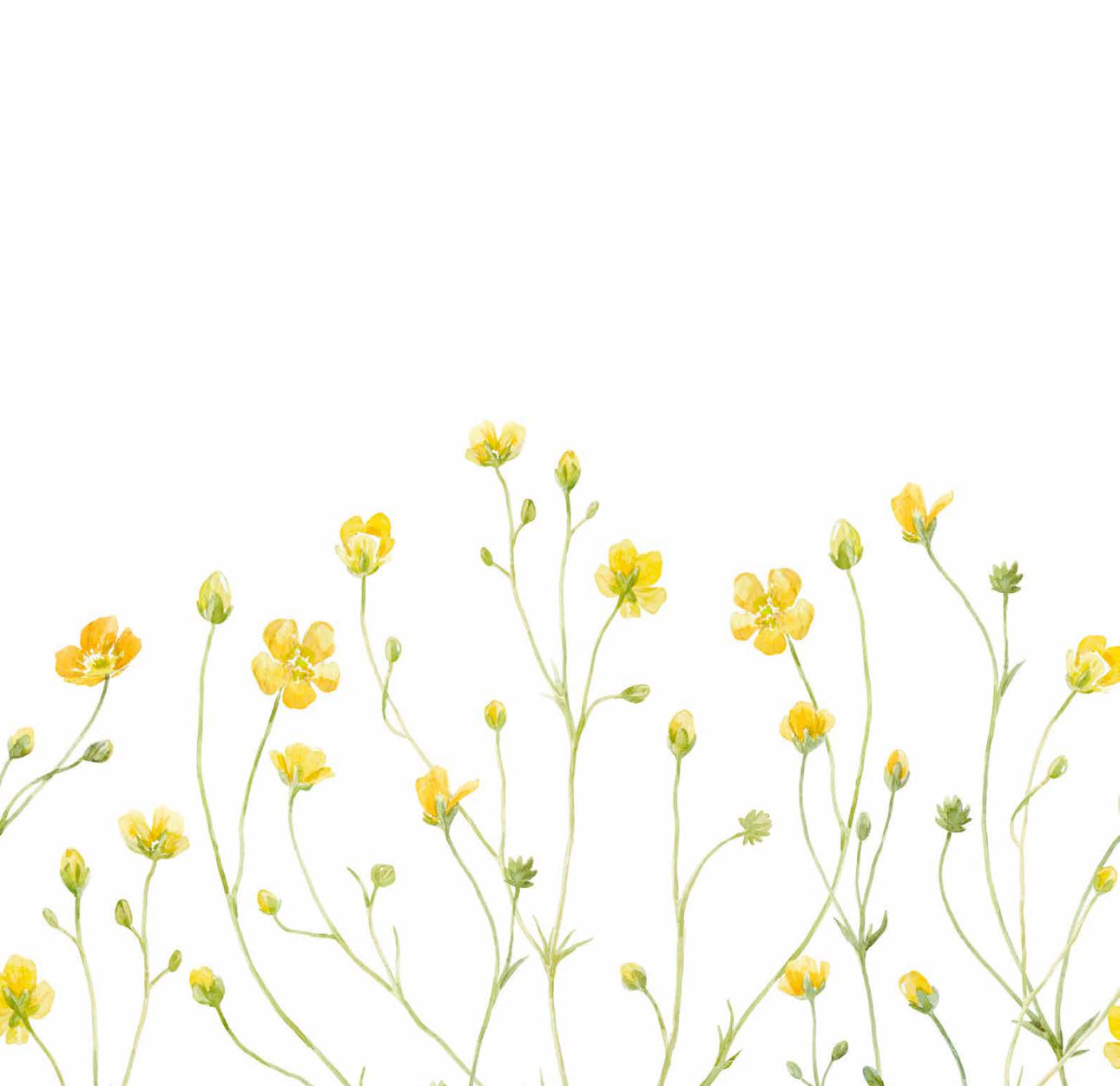 Yellow Field Cocktail Napkin