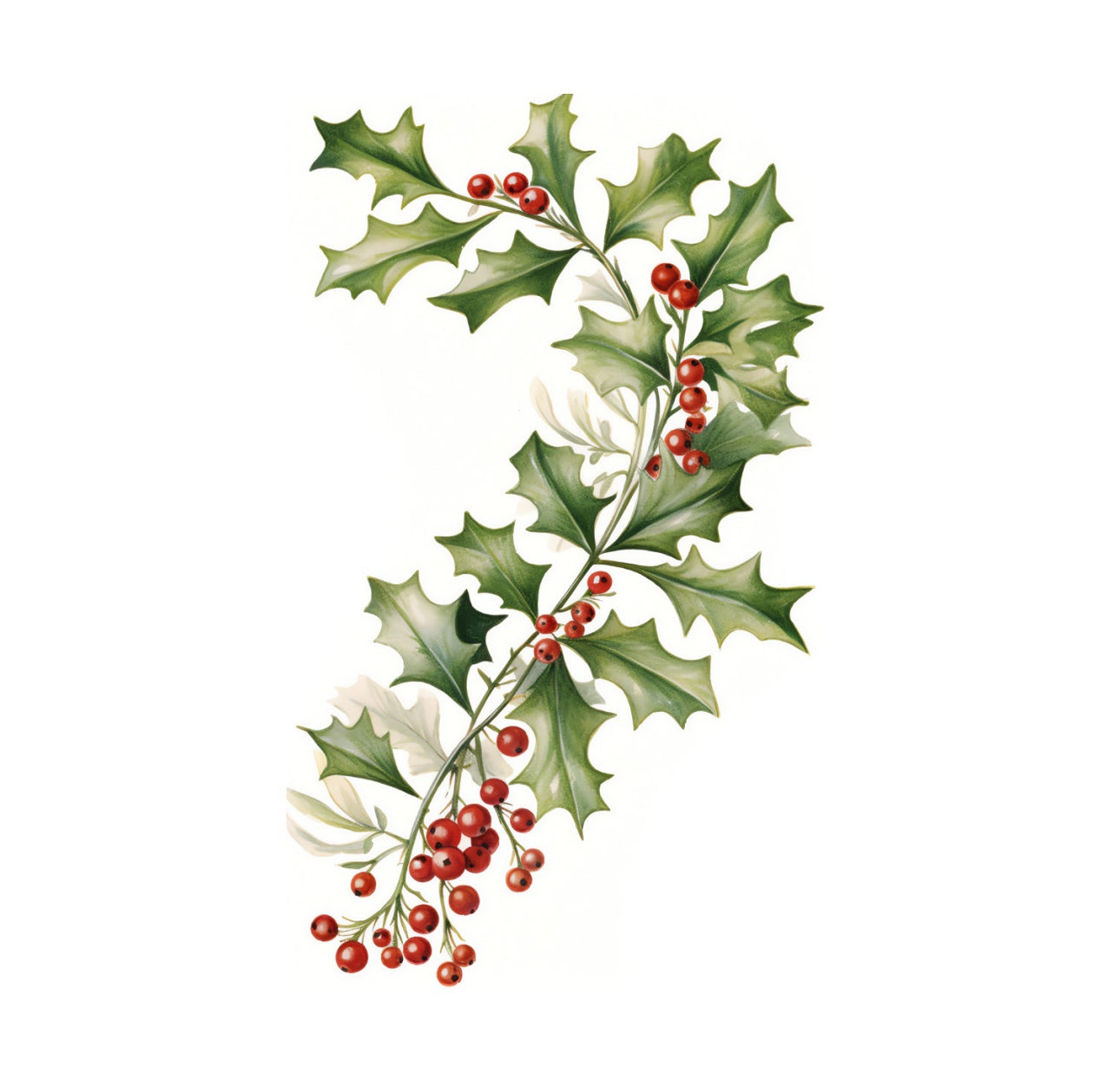 Holly Cocktail Napkin