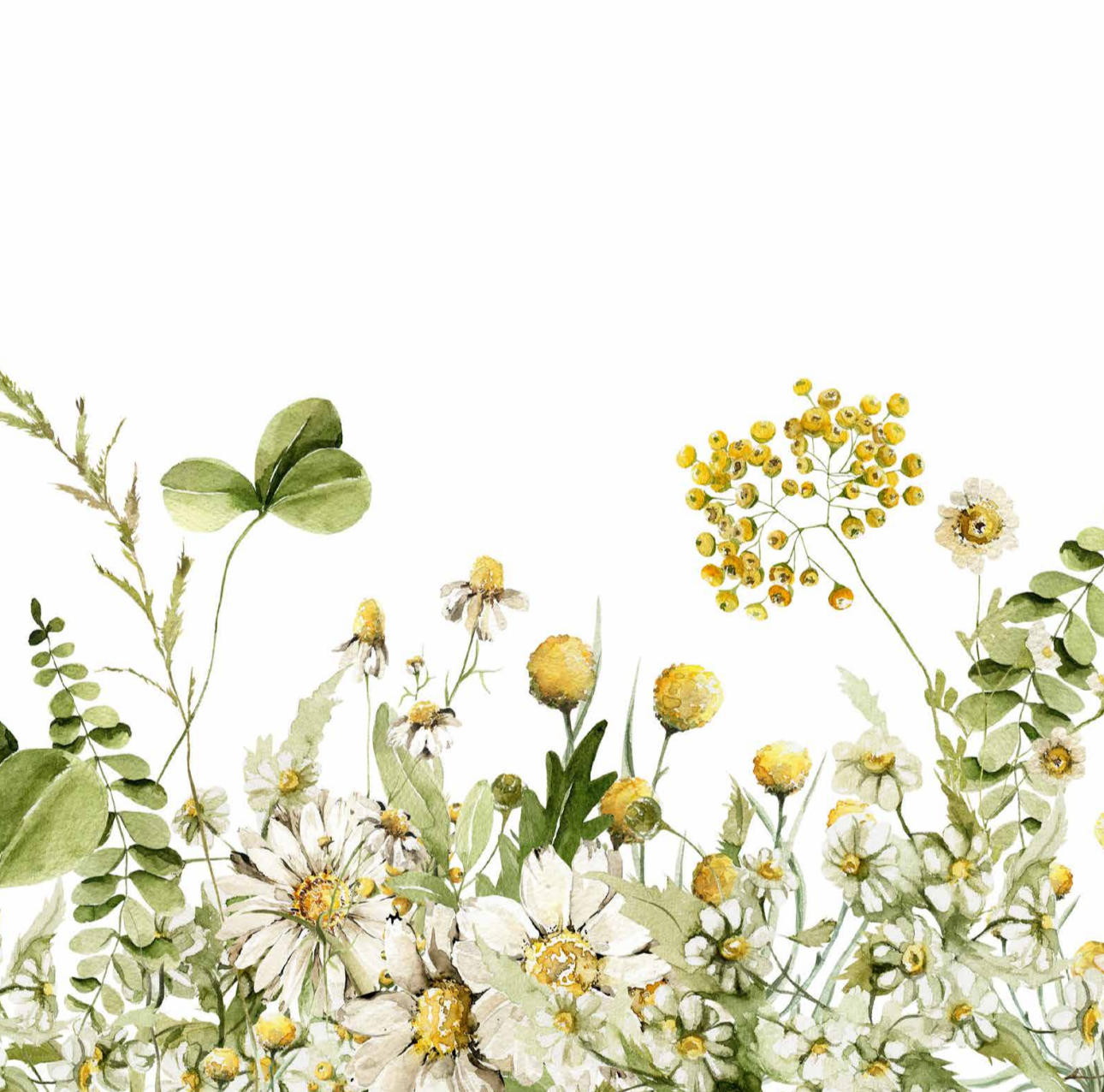 Daisy Dream Cocktail Napkin