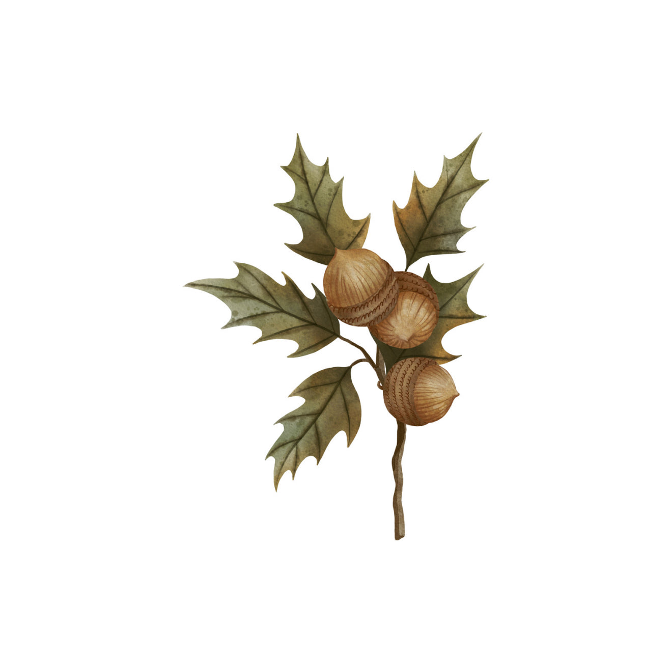 Acorn Cluster Cocktail Napkin