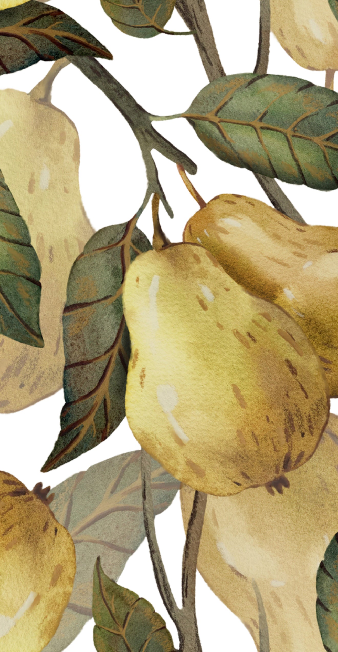 Neutral Pears - Printed Guest Towel