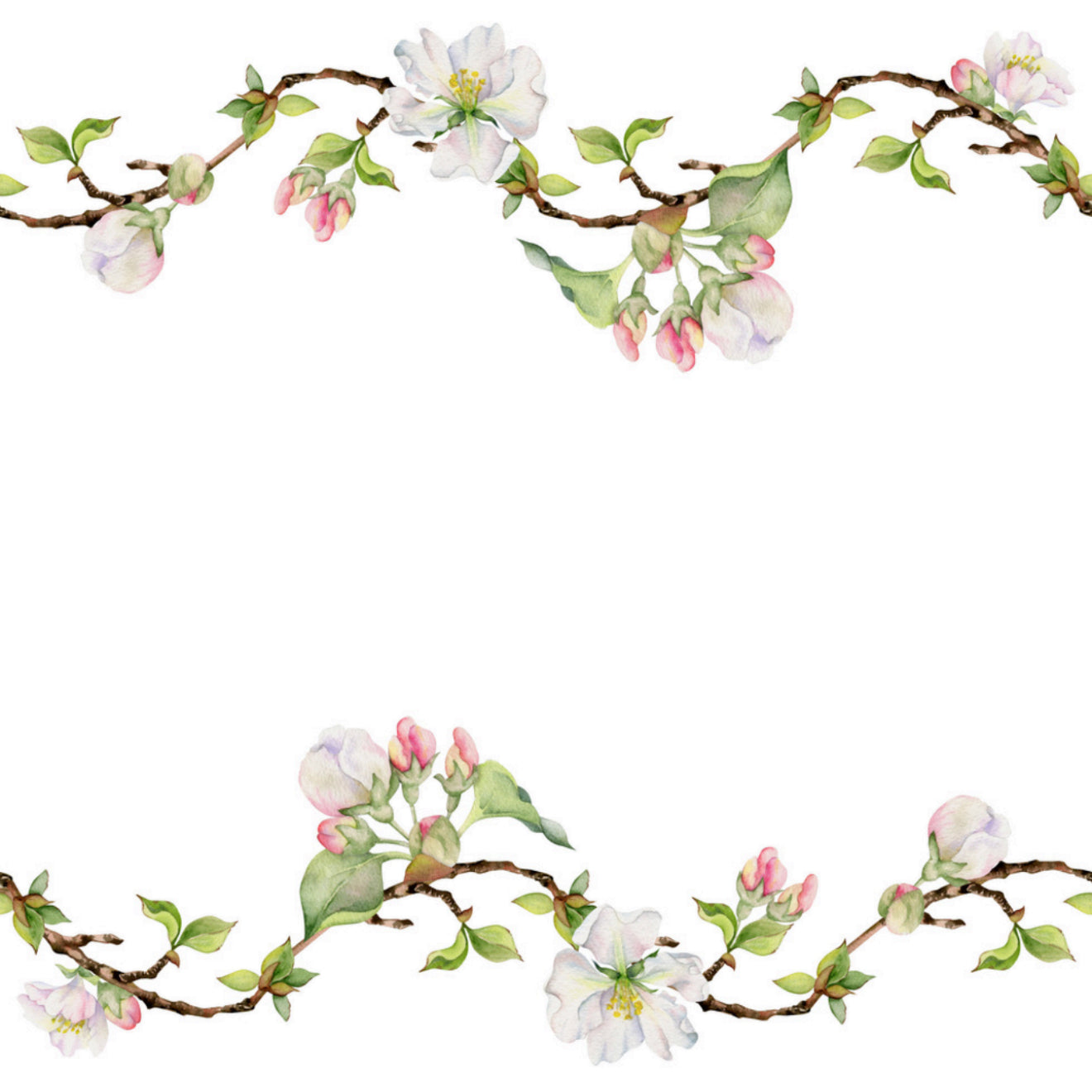 Watercolor Apple Blossoms Cocktail Napkin