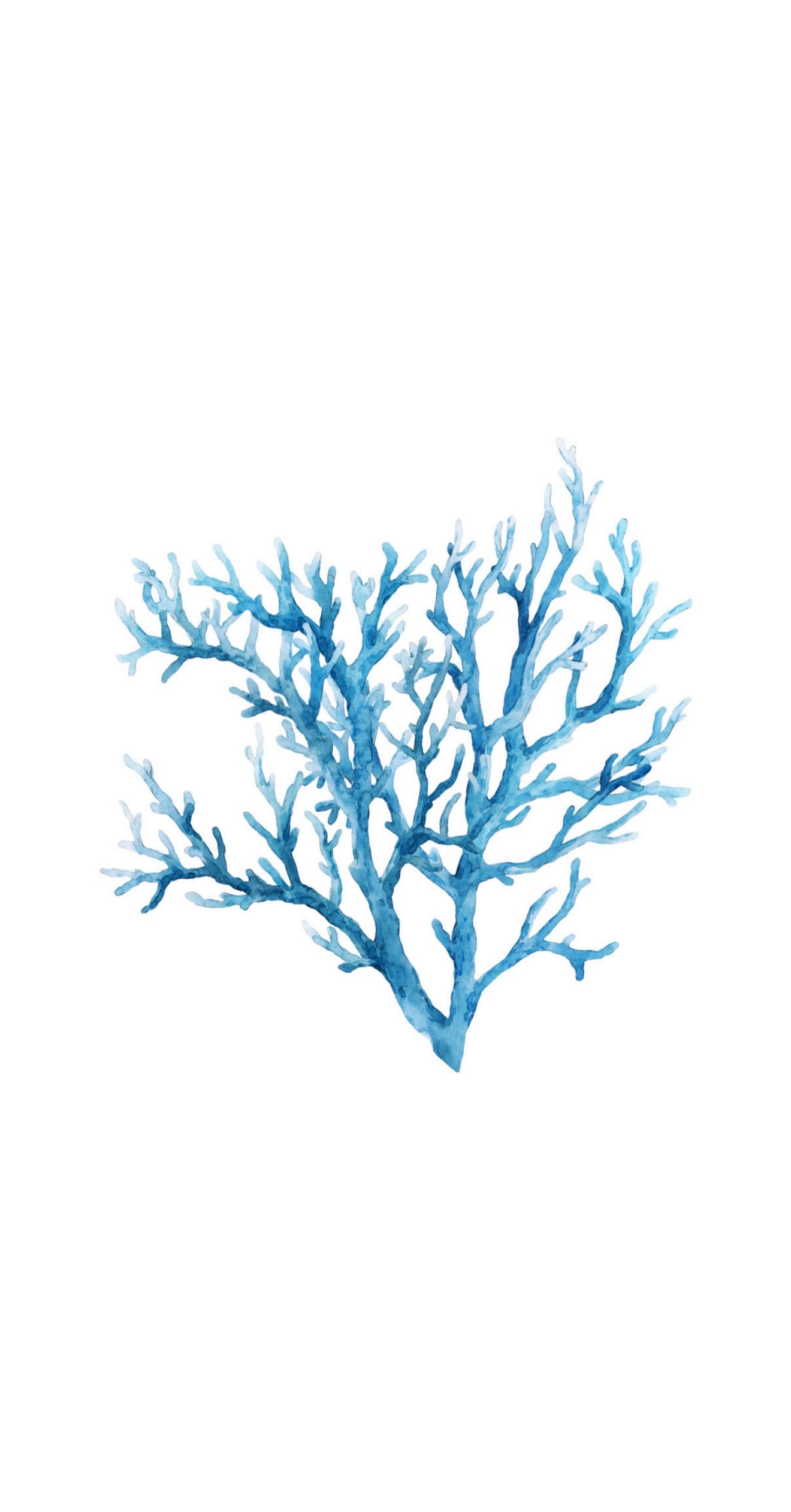 Blue Coral - Printed Guest Towel