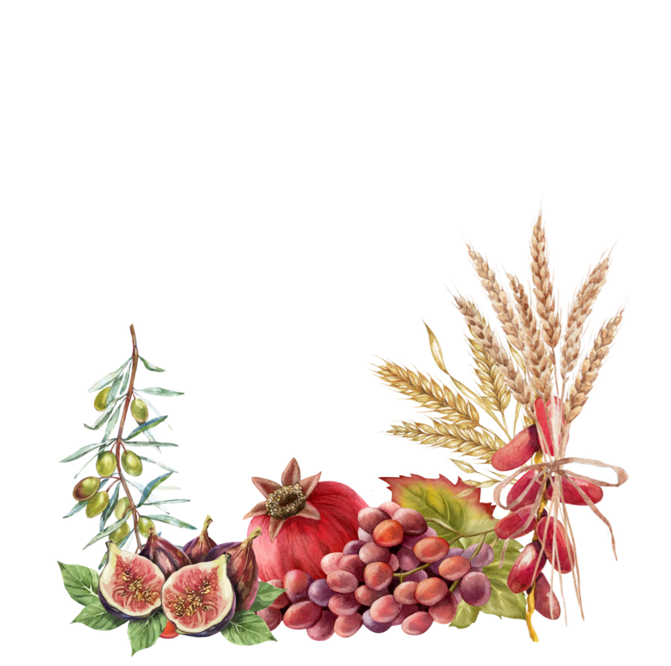 7 Species Cocktail Napkin