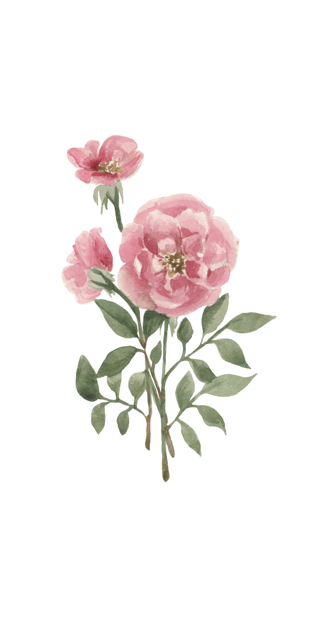 Blush Roses - Printed Guest Towel