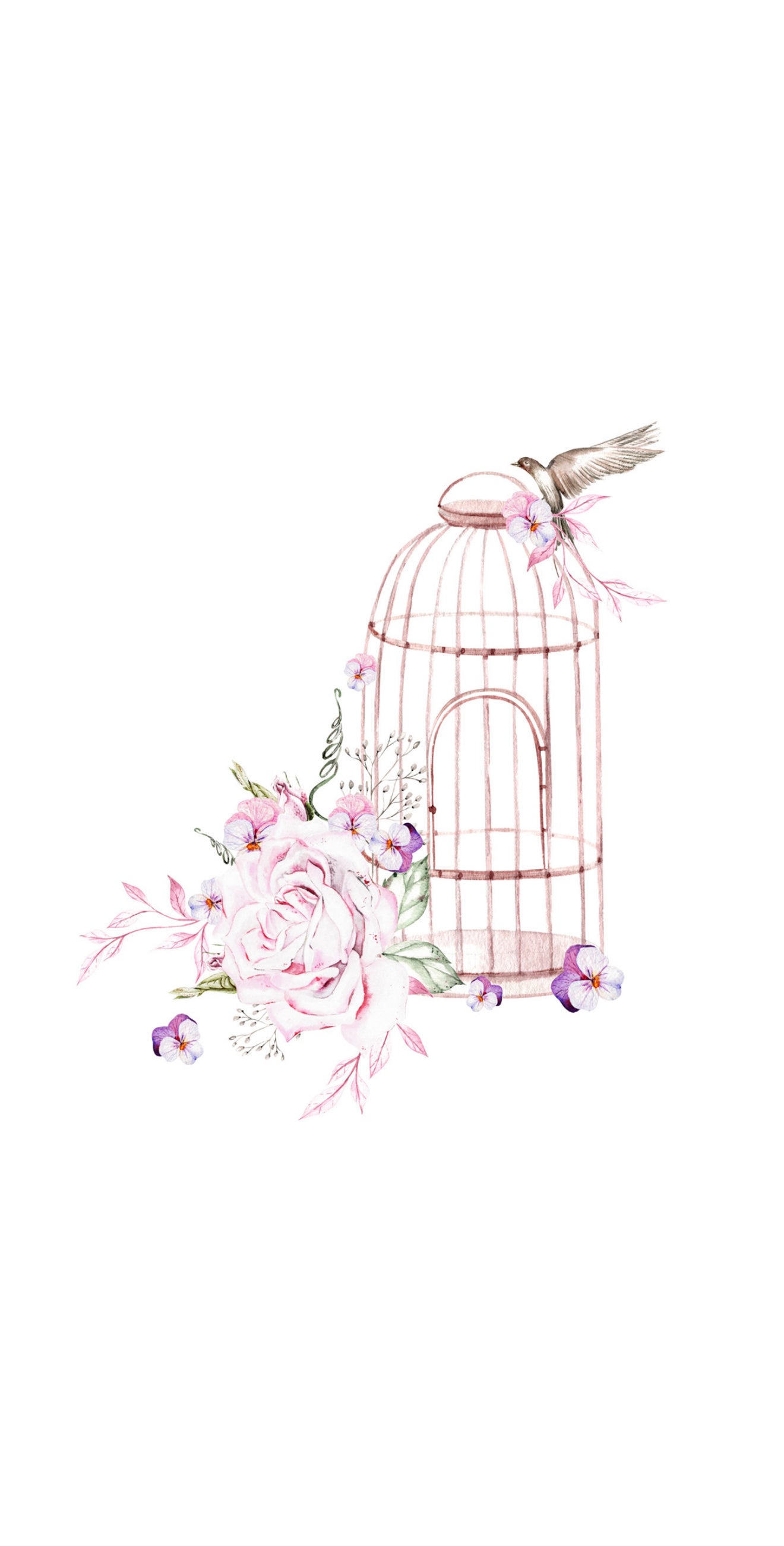 Birdcage - Printed Guest Towel