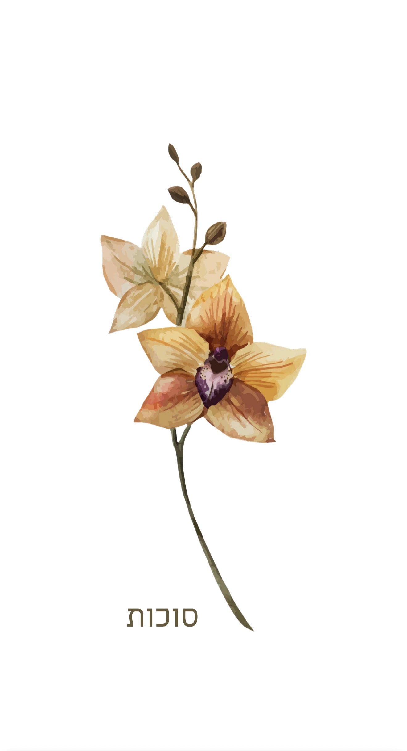 Solo Orchid Sukkos - Printed Guest Towel