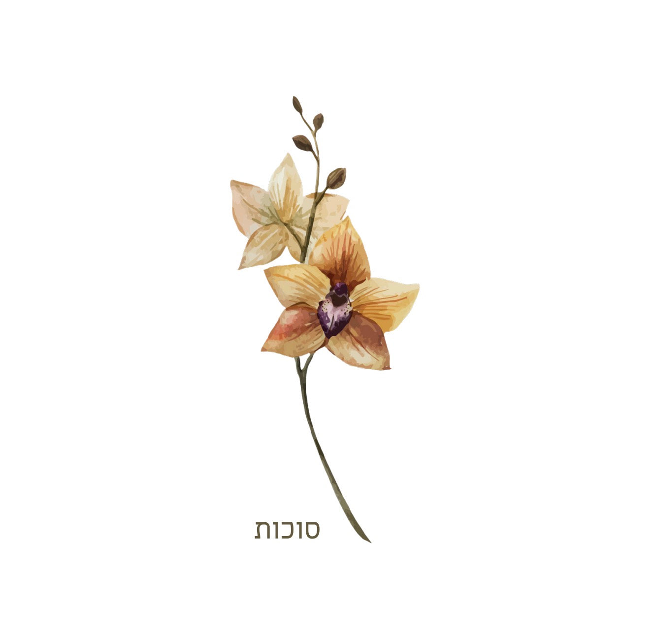 Solo Orchid Sukkos Cocktail Napkin
