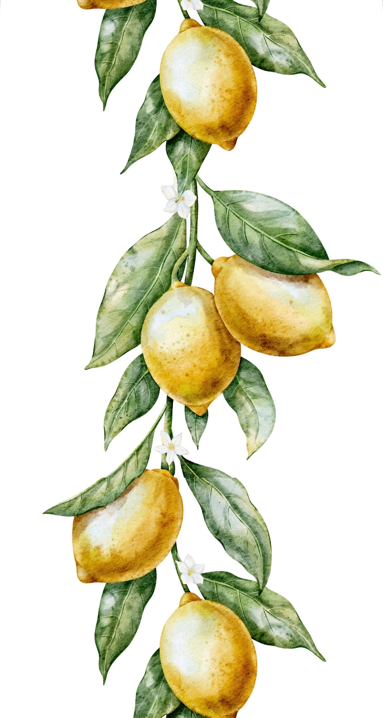 Citrus Branch- Printed Guest Towel