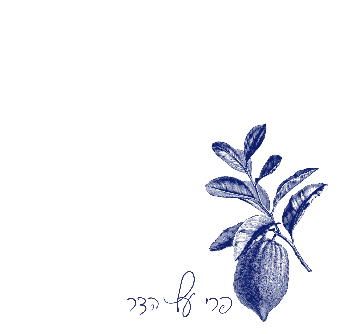 Blue Charcoal Esrog Cocktail Napkin