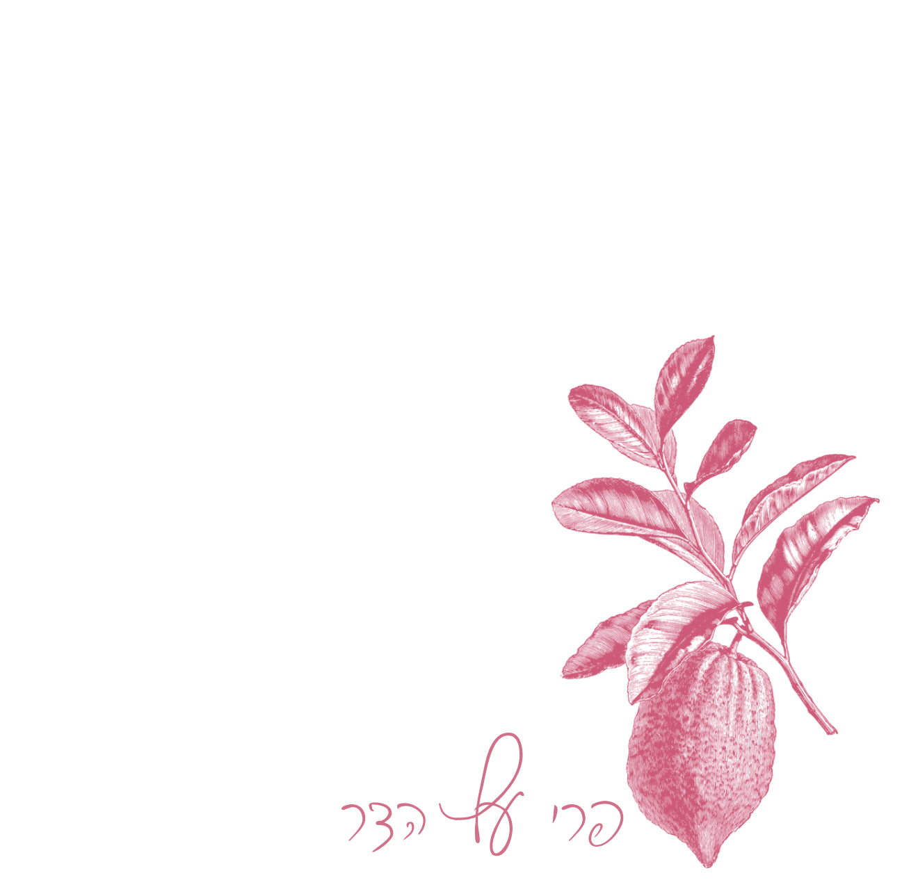 Rose Charcoal Esrog Cocktail Napkin