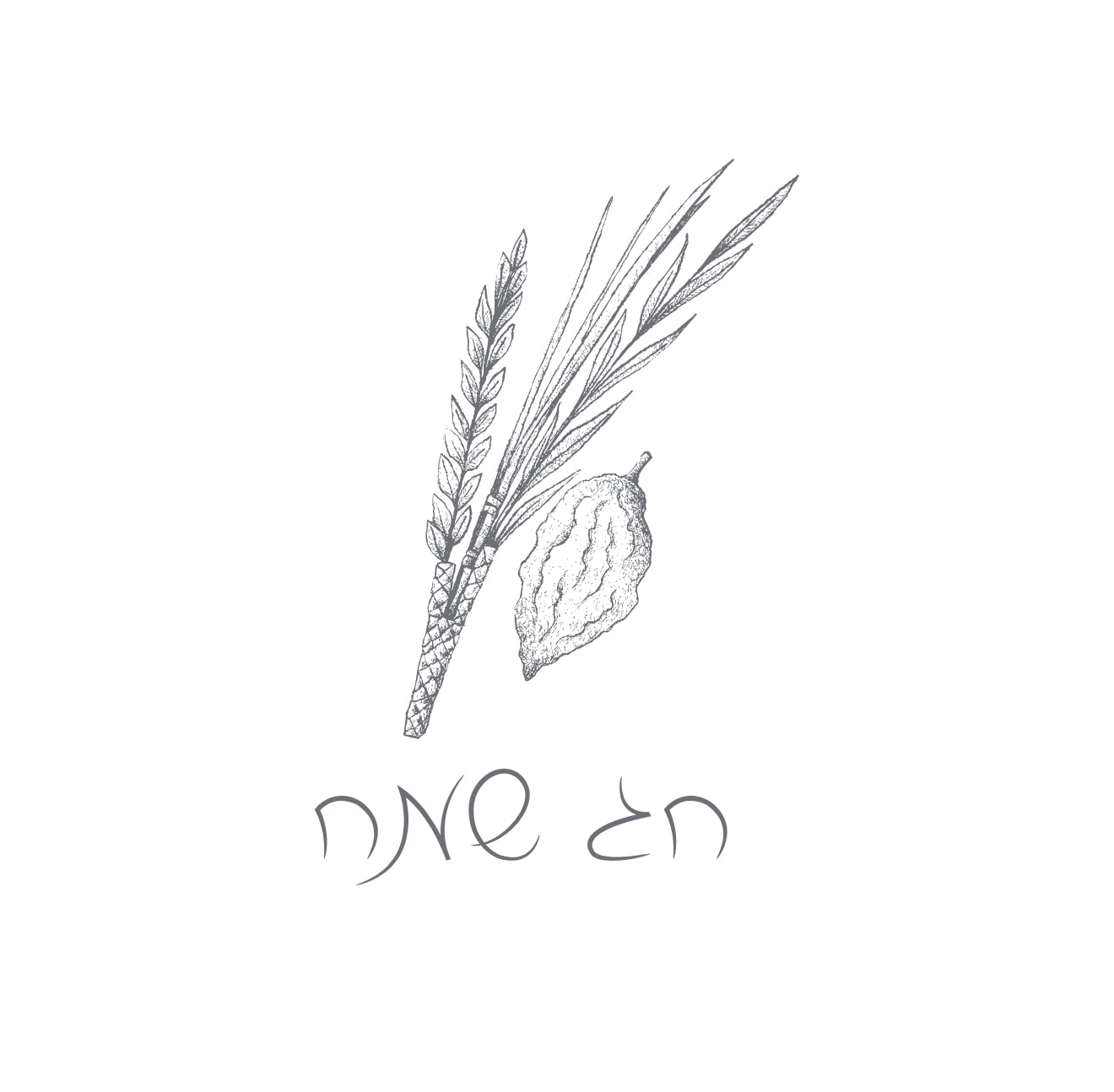 Slate Chag Sameach Cocktail Napkin