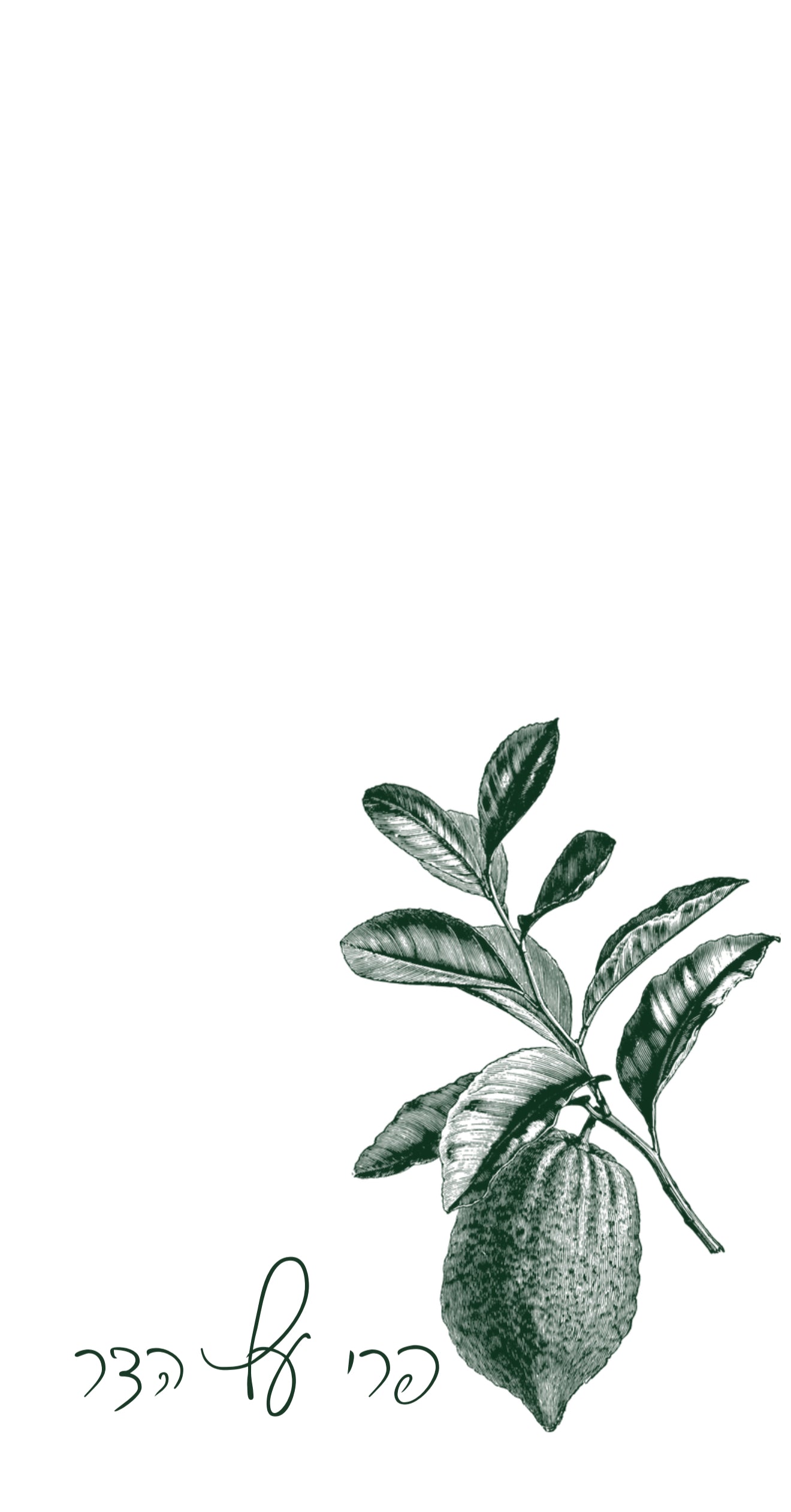 Emerald Charcoal Esrog - Printed Guest Towel