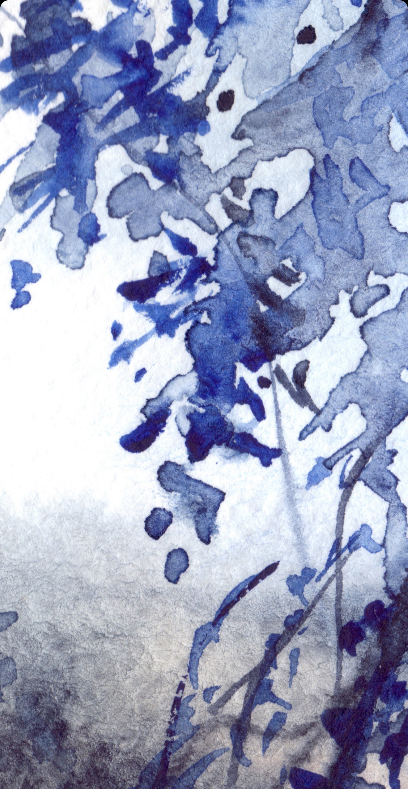 Blue Forest - Printed Guest Towel