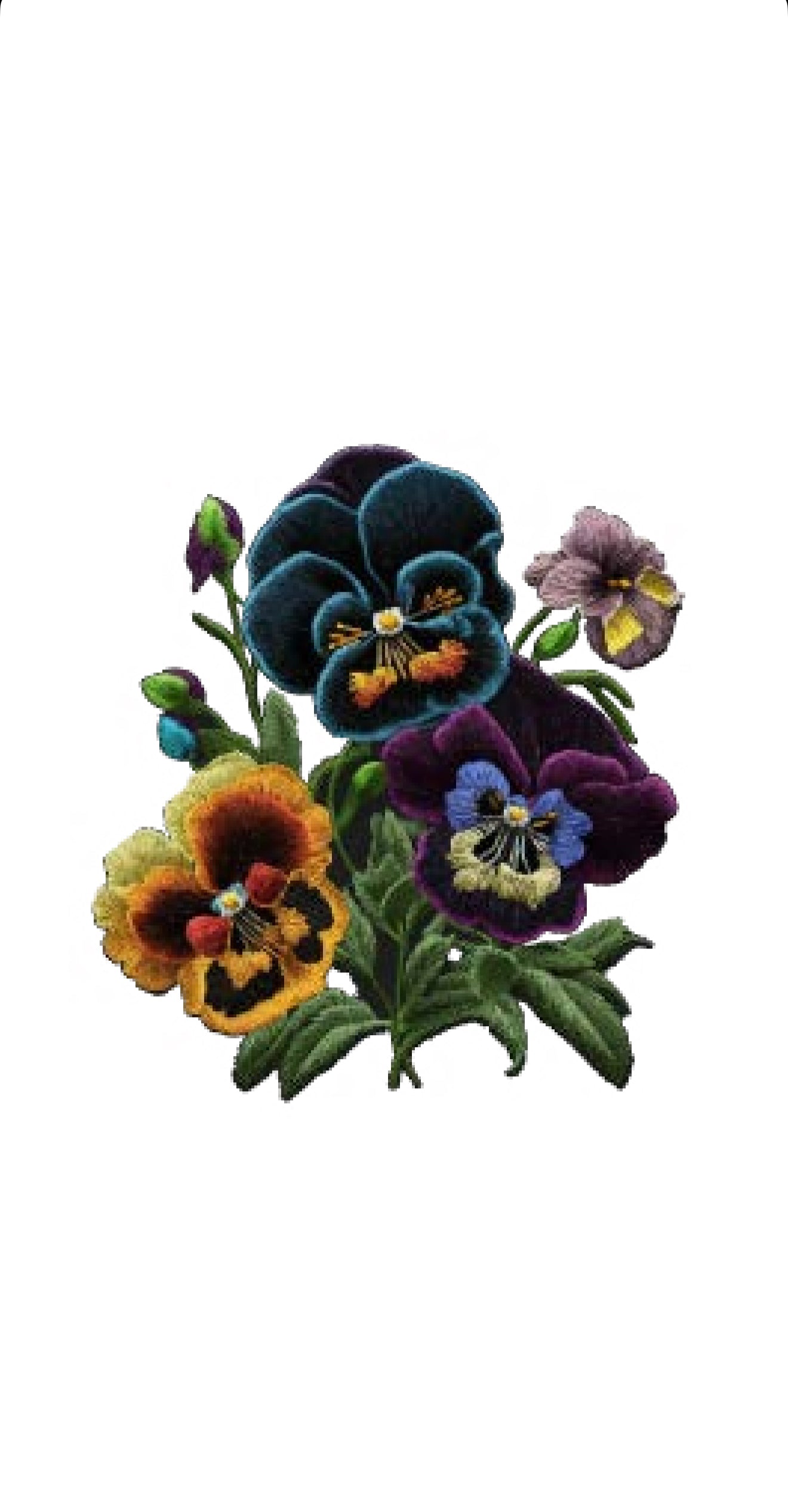 Embroidered Floral - Printed Guest Towel