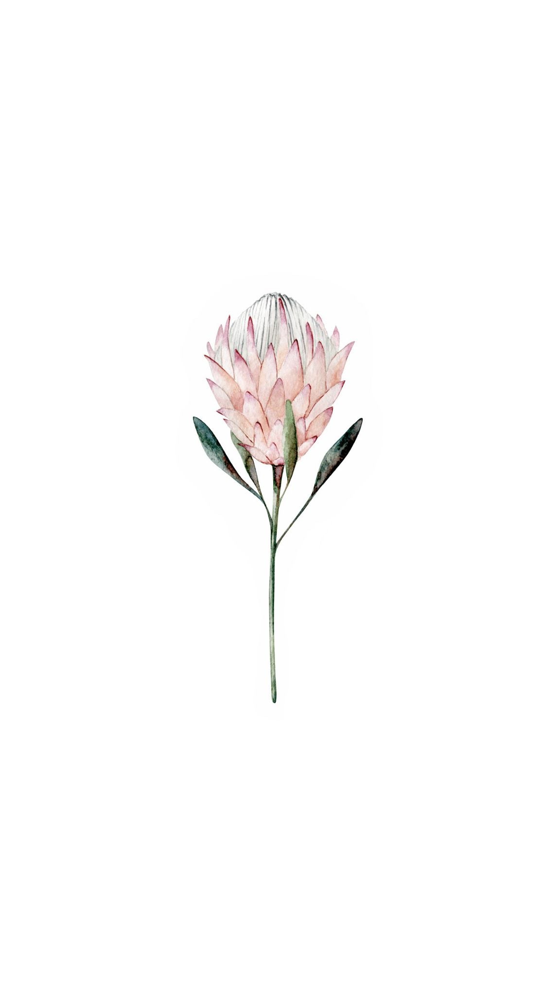 Pink Bloom Printed Paper Bag