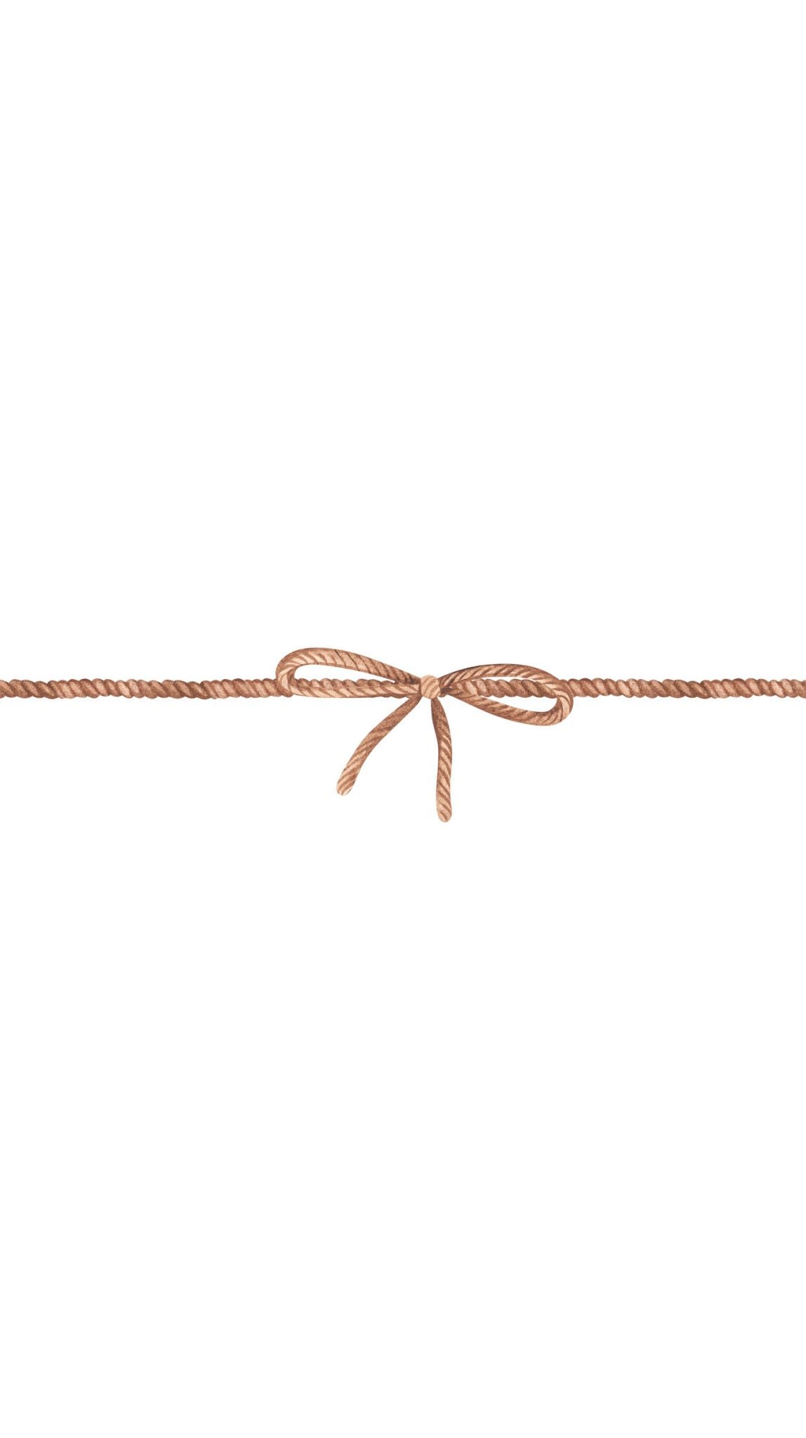 Rope Bow Printed Paper Bag