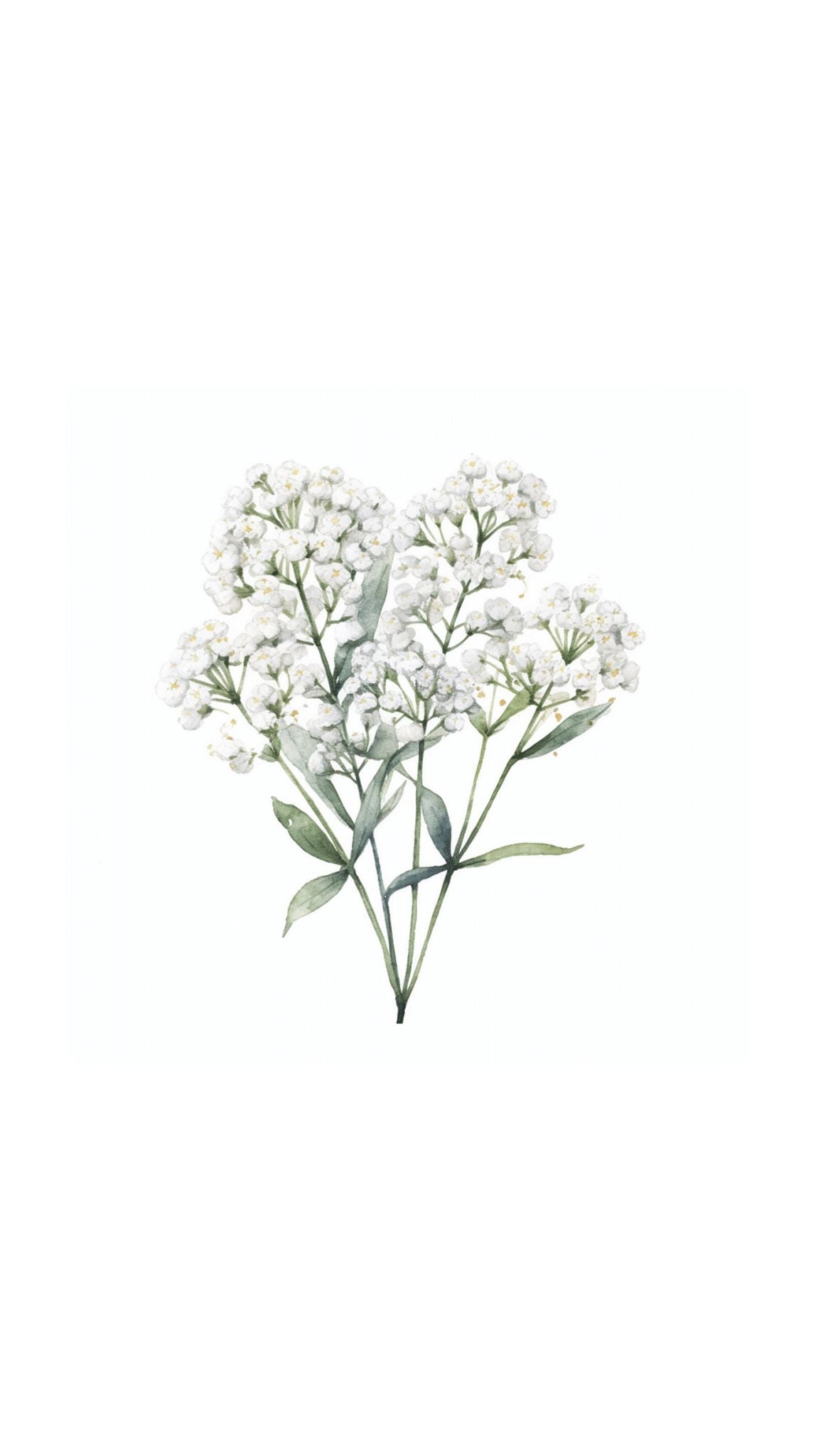 White Blossoms Printed Paper Bag