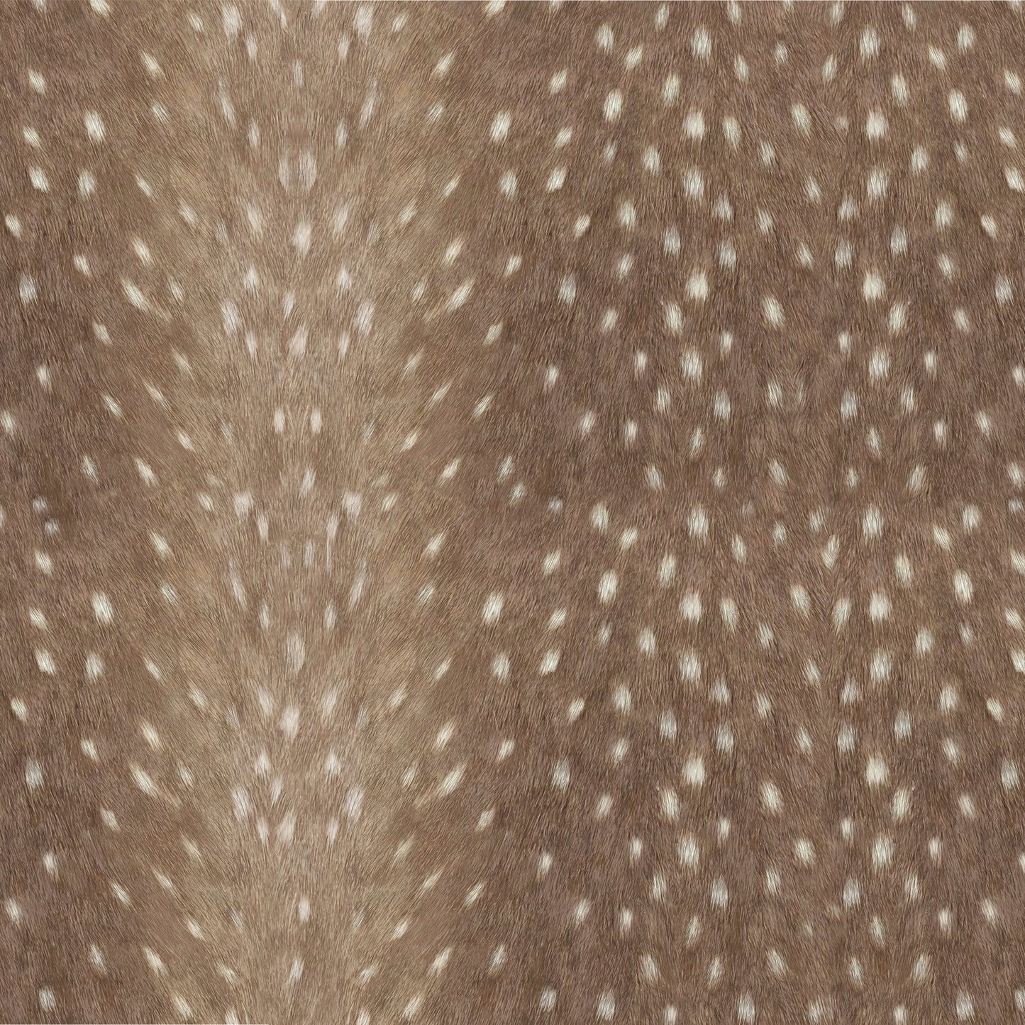 Fawning Charger - (SQUARE)