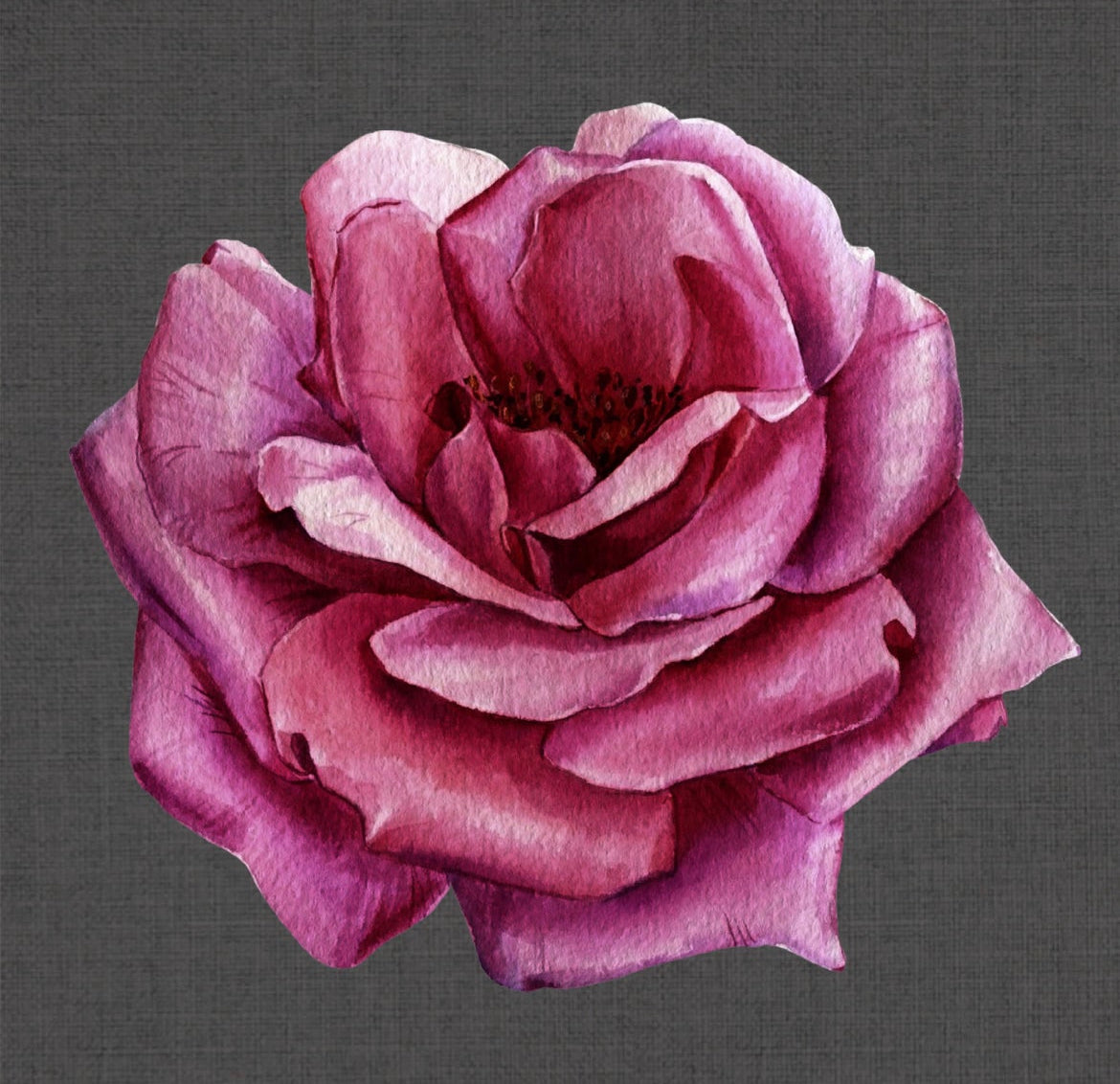 Camellia Charger (Rose)