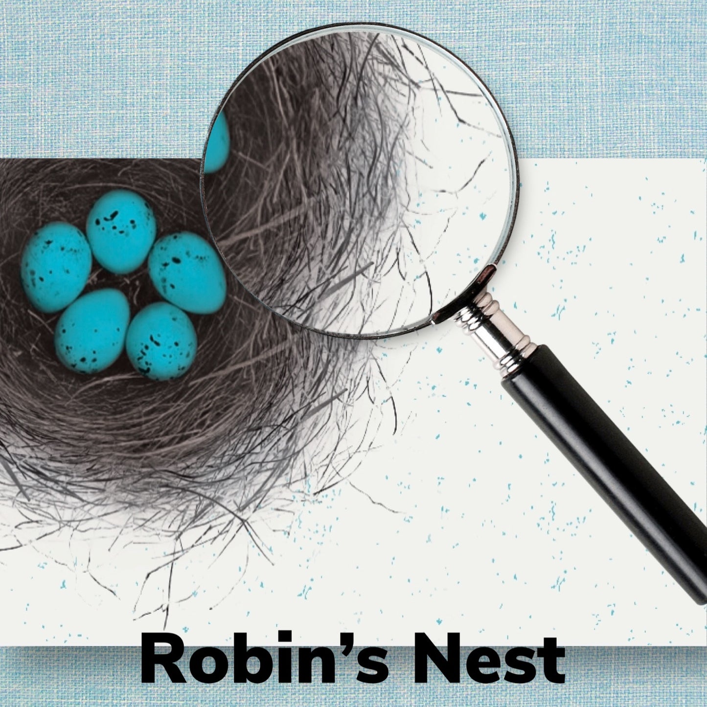 Robins Egg - Placemat