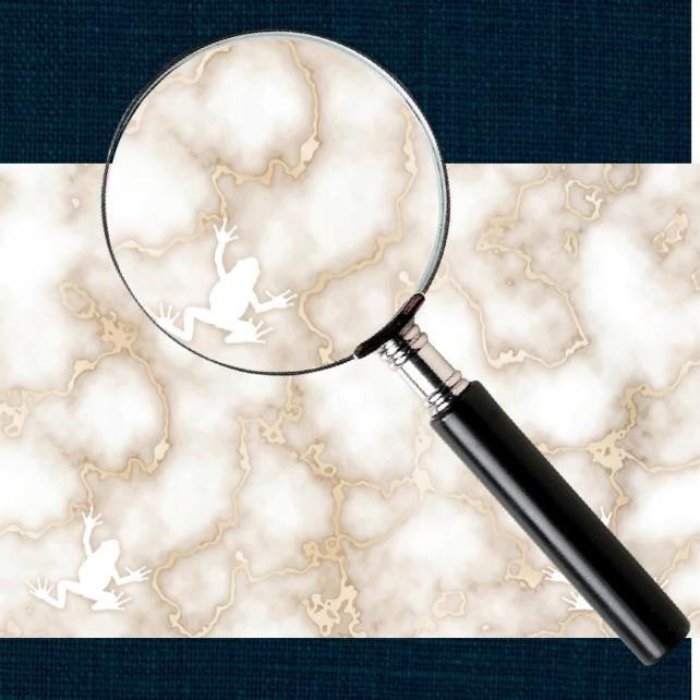 Desert Frog - Placemat