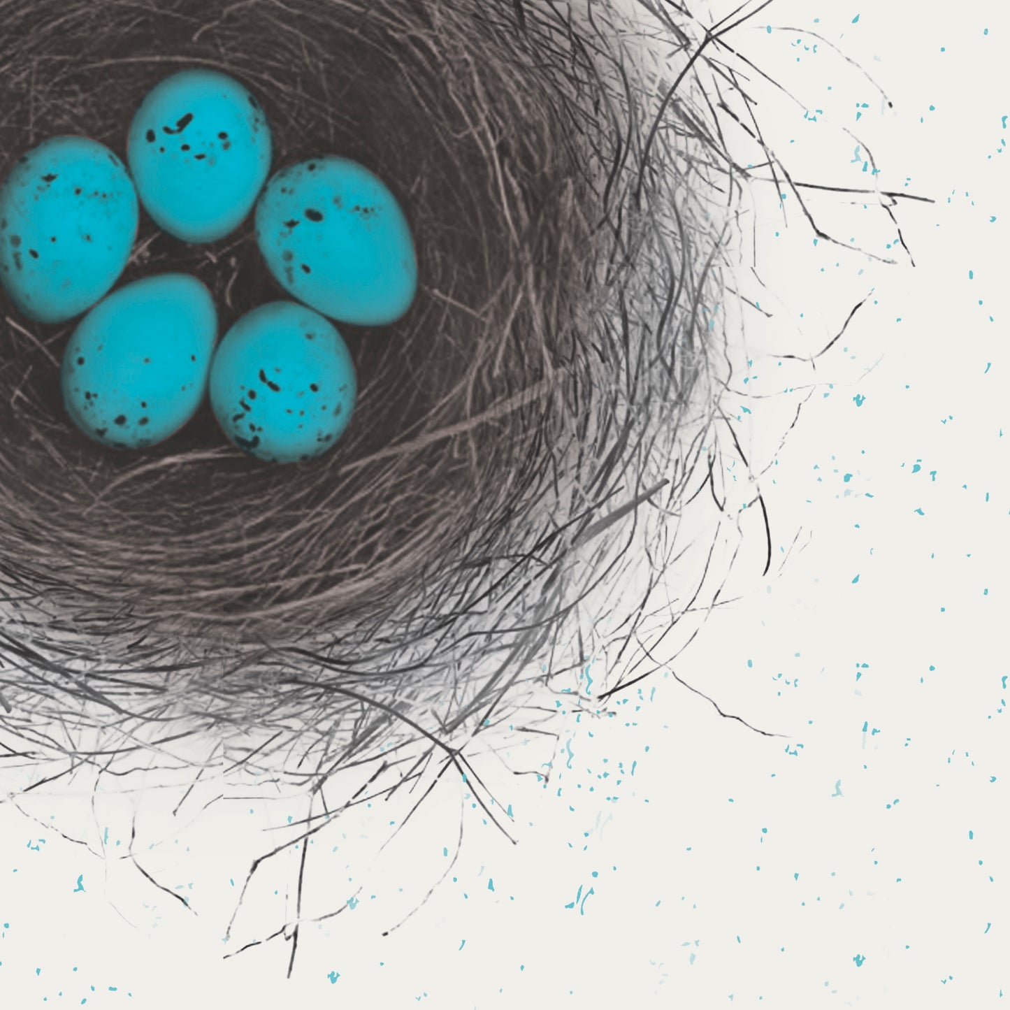 Robins Egg Charger (ENLARGED TO SHOW DETAIL) - (SQUARE)