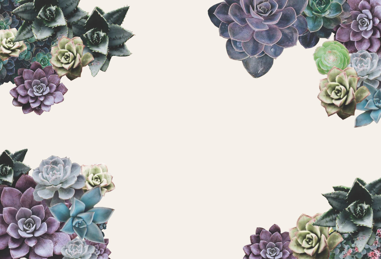 Desert Bloom - Placemat