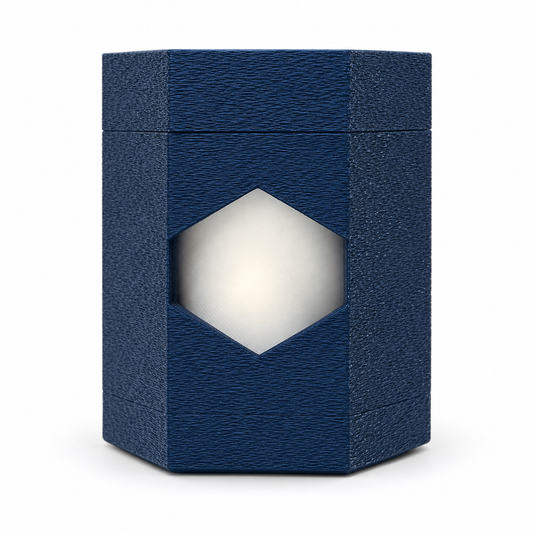 Mini Shabbos Light