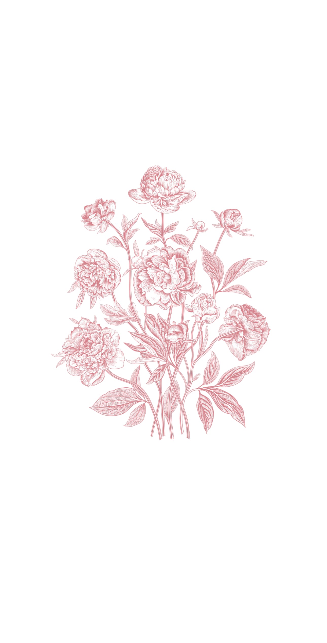 Peony Cluster - Printed Guest Towel