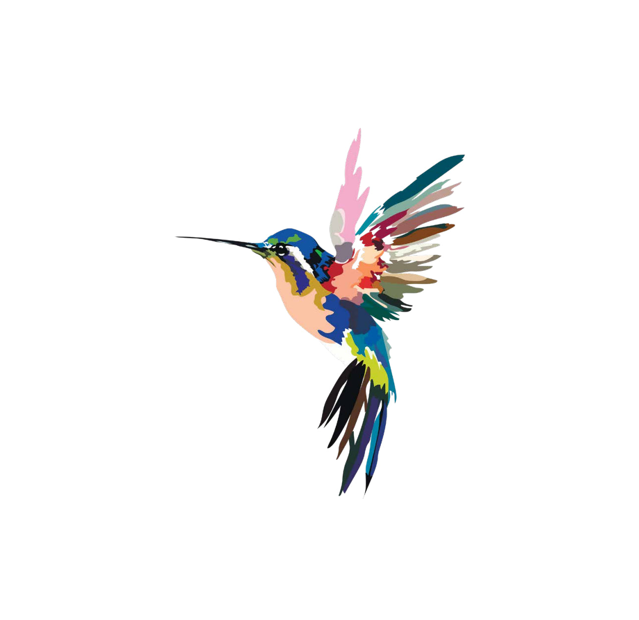 Color Splash Hummingbird