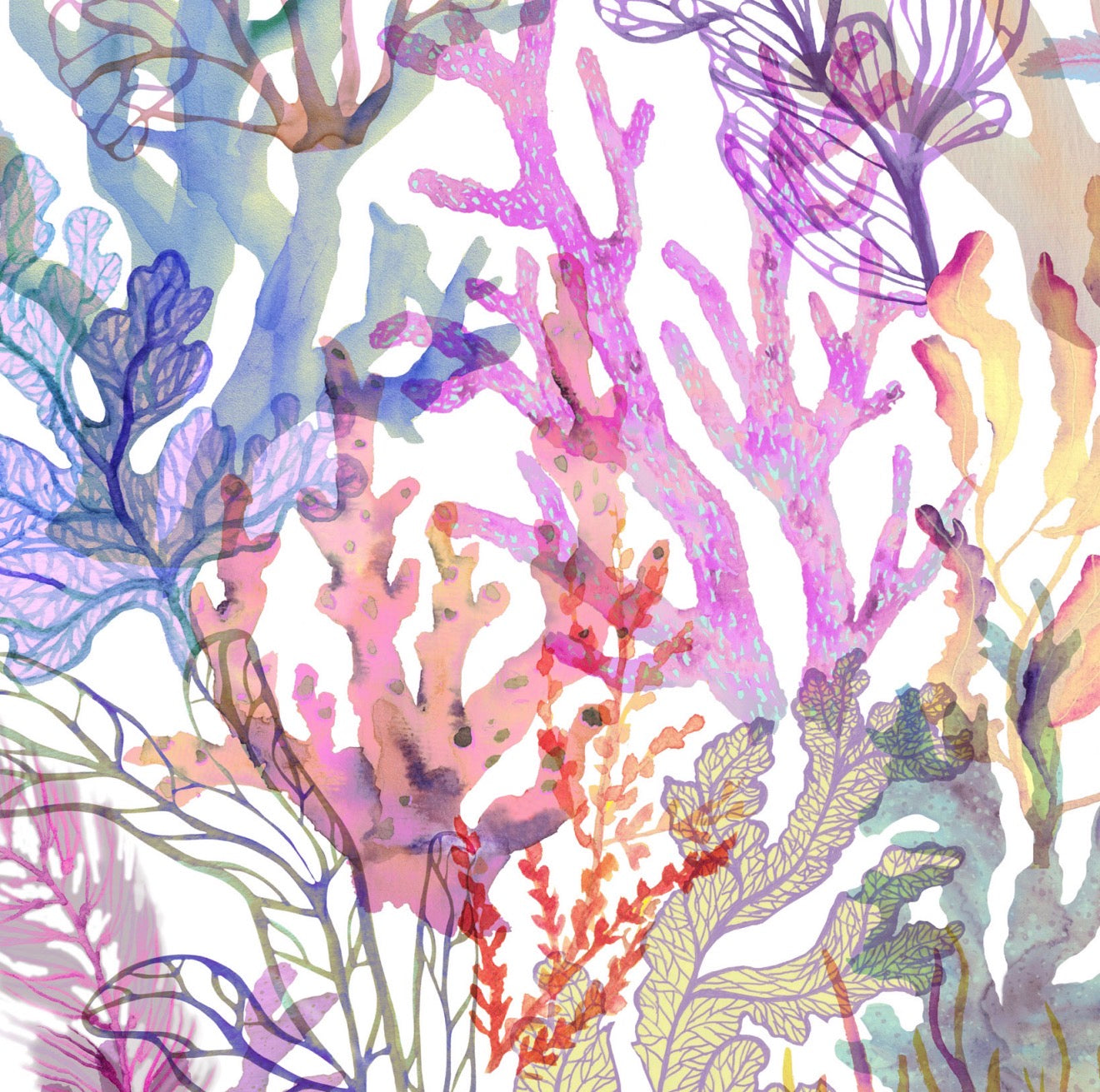Watercolor Coral Cocktail Napkin