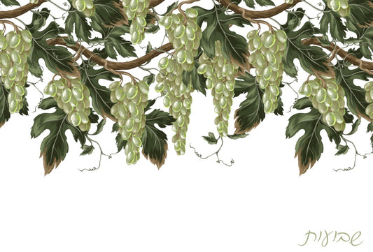 Shavous Vineyard - Placemat