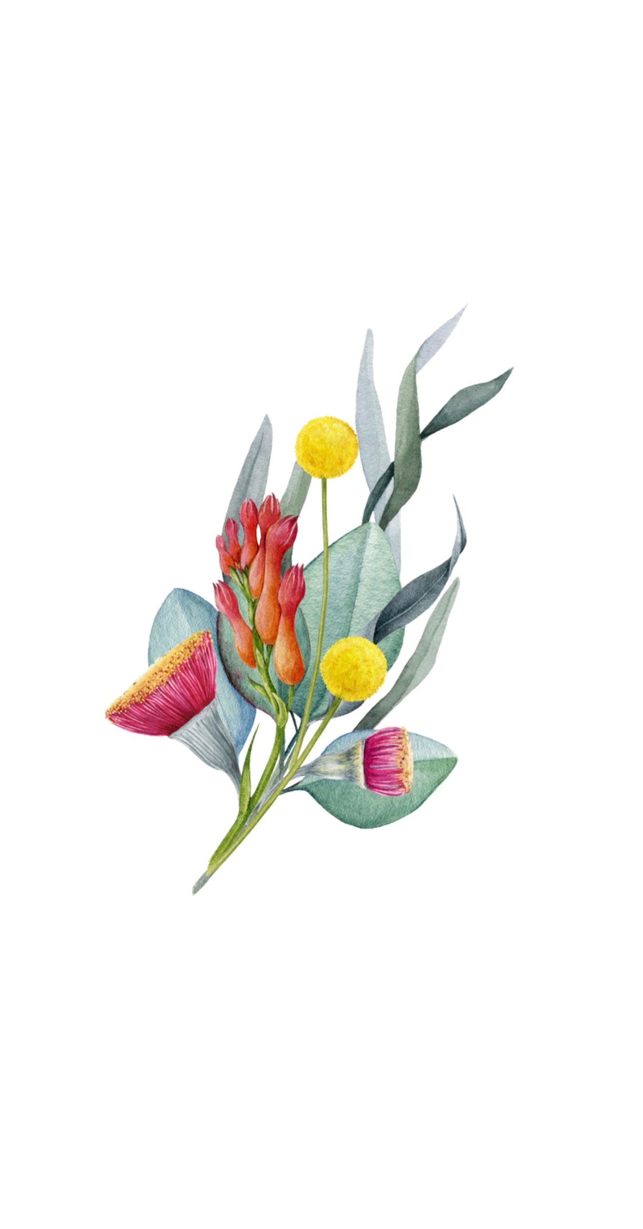 Australian Flora  - Printed Guest Towel