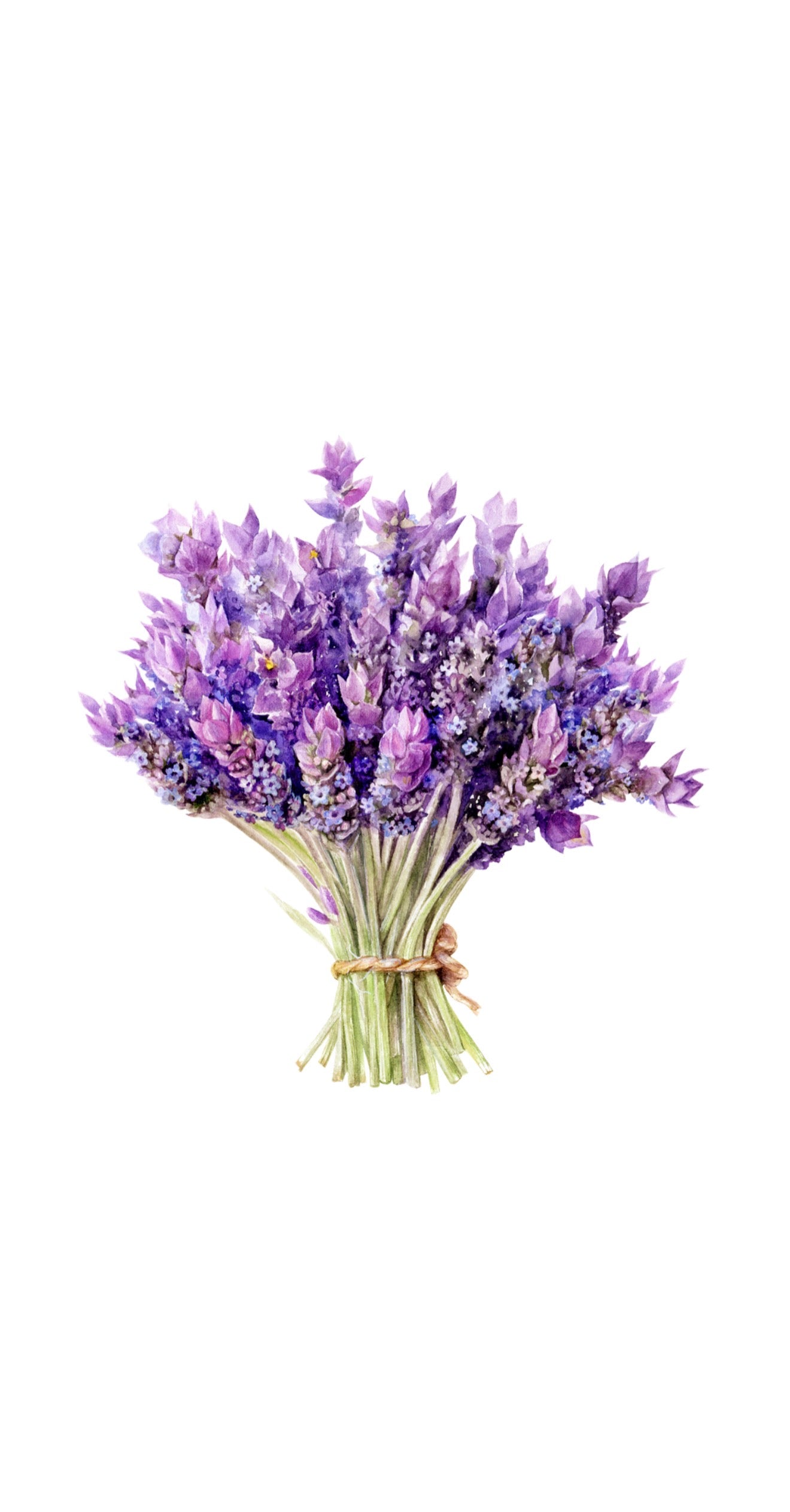 Lavender Bouquet - Printed Guest Towel