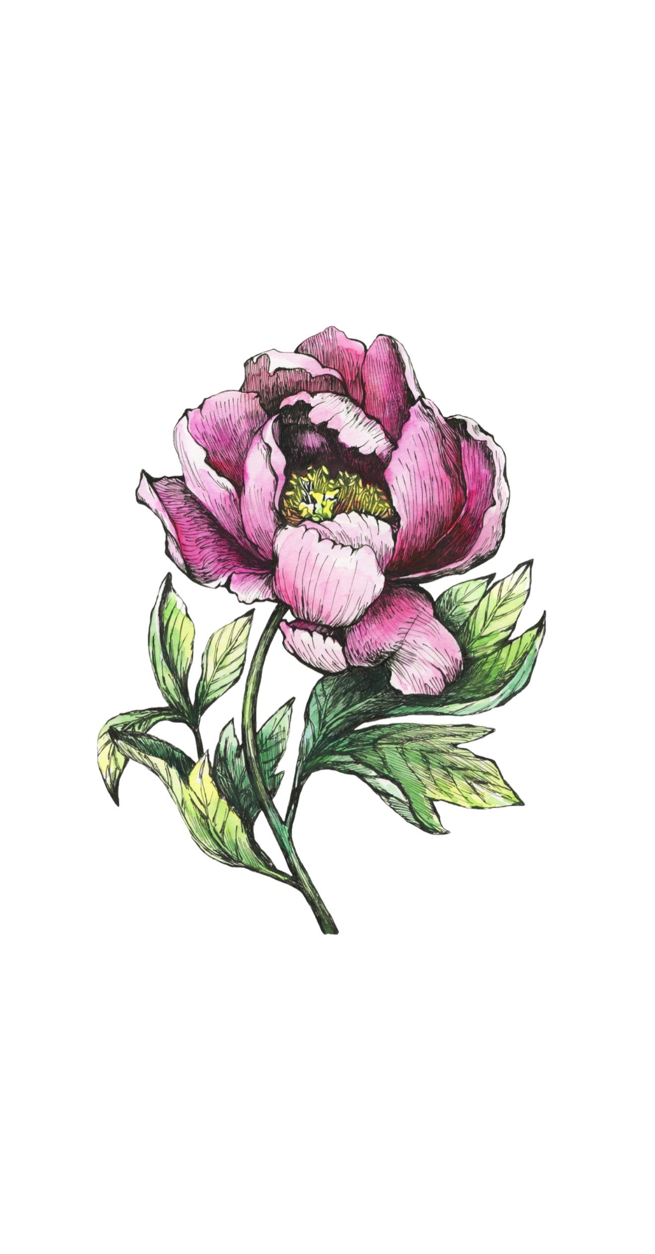 Shadow Peony - Printed Guest Towel